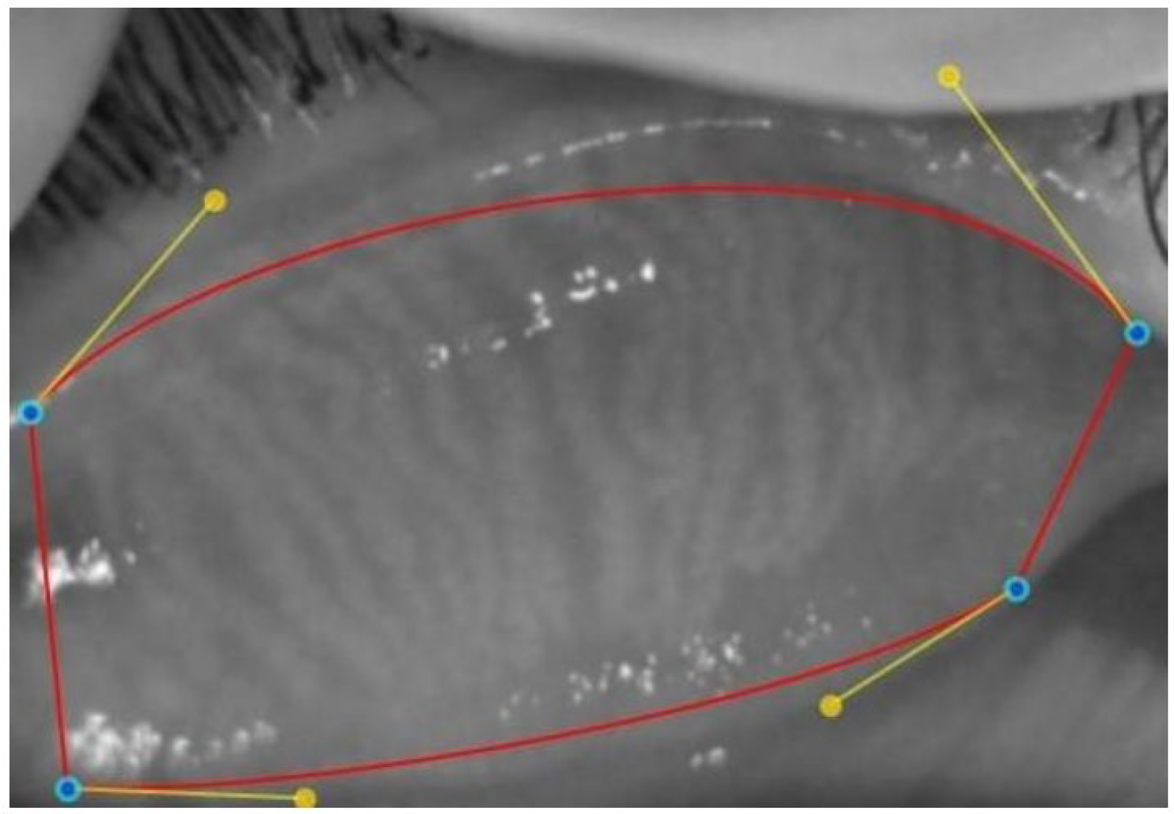 Children 12 00150 g002