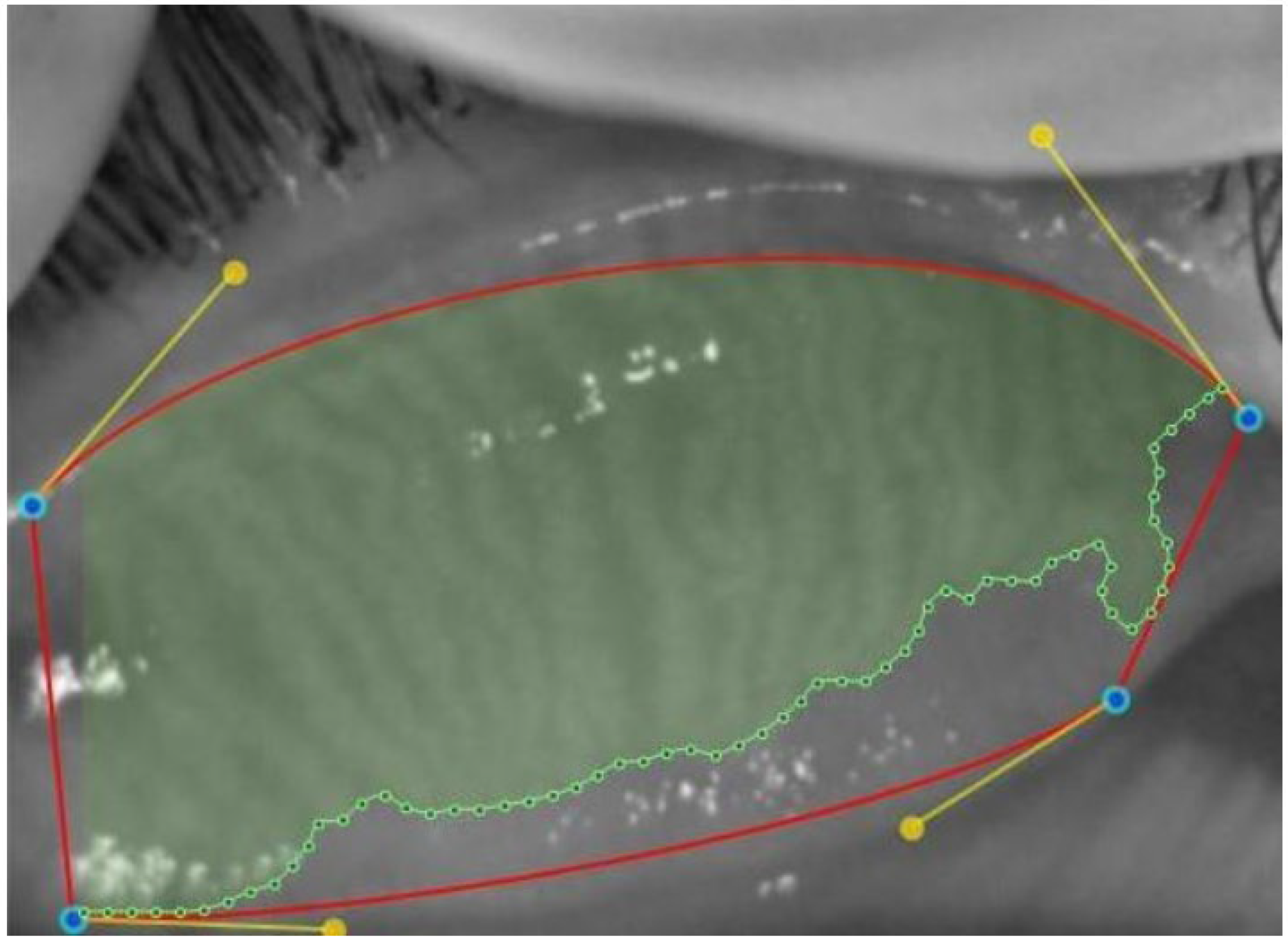 Children 12 00150 g003