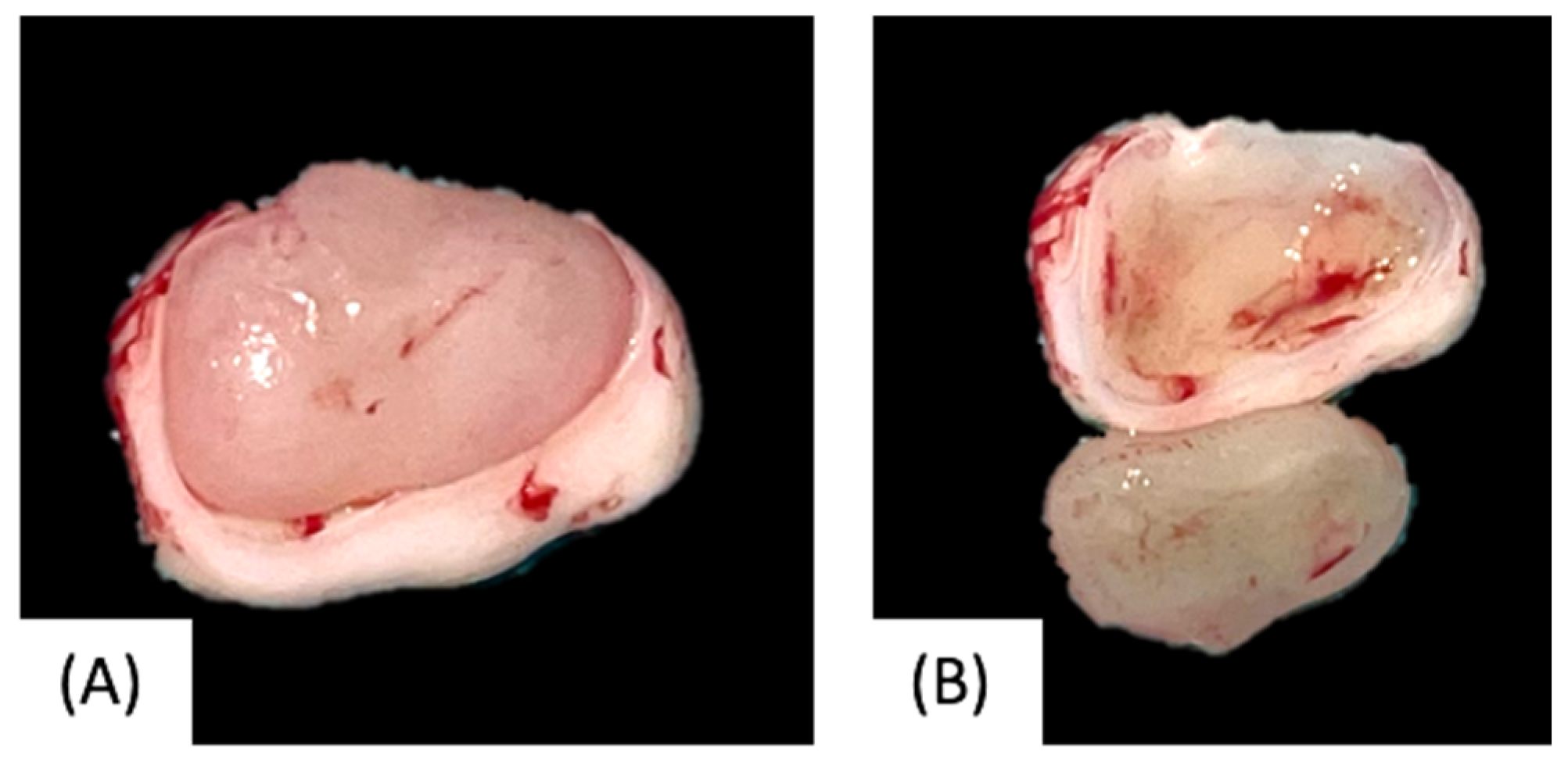 Children 12 00158 g004