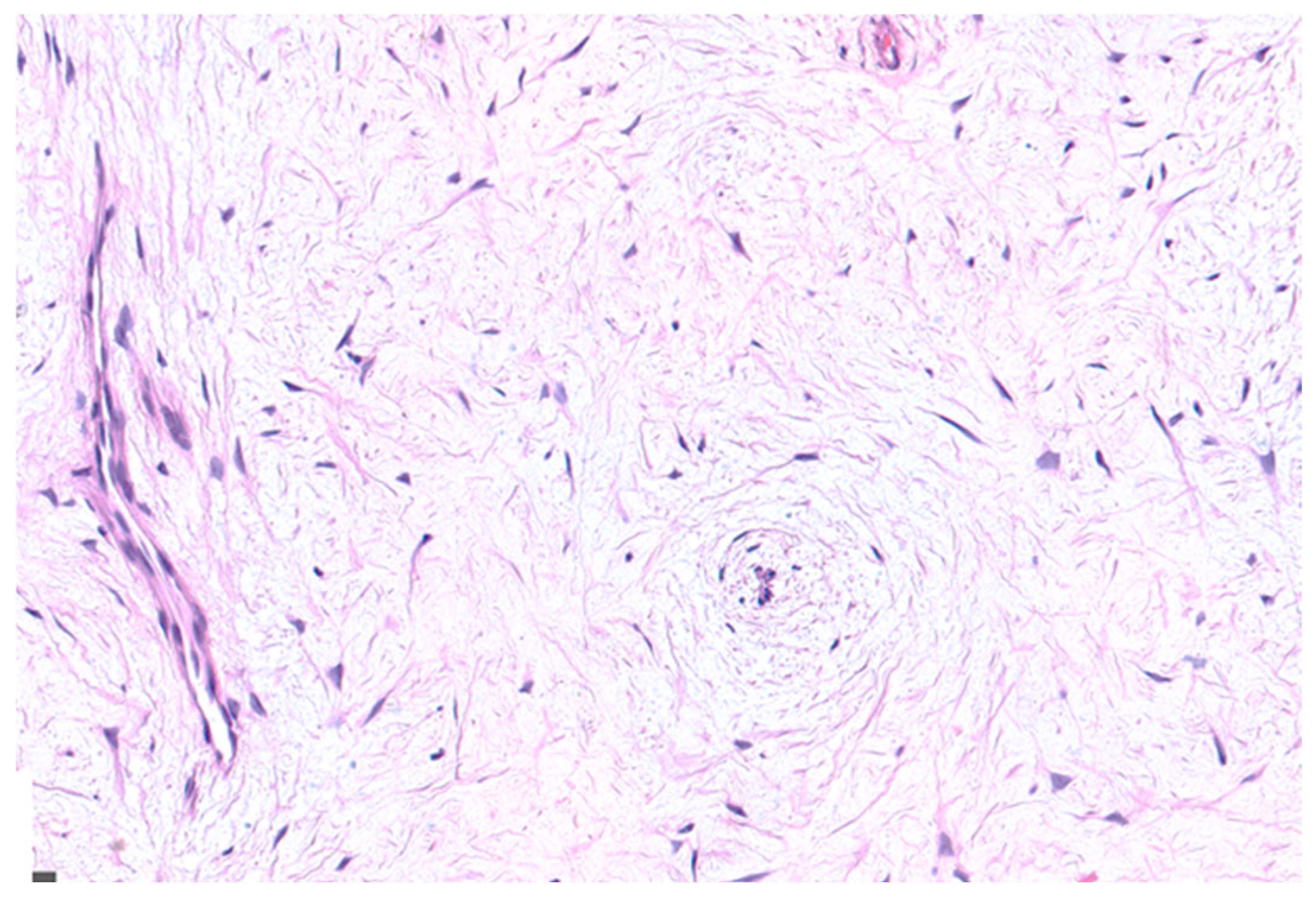 Children 12 00158 g005