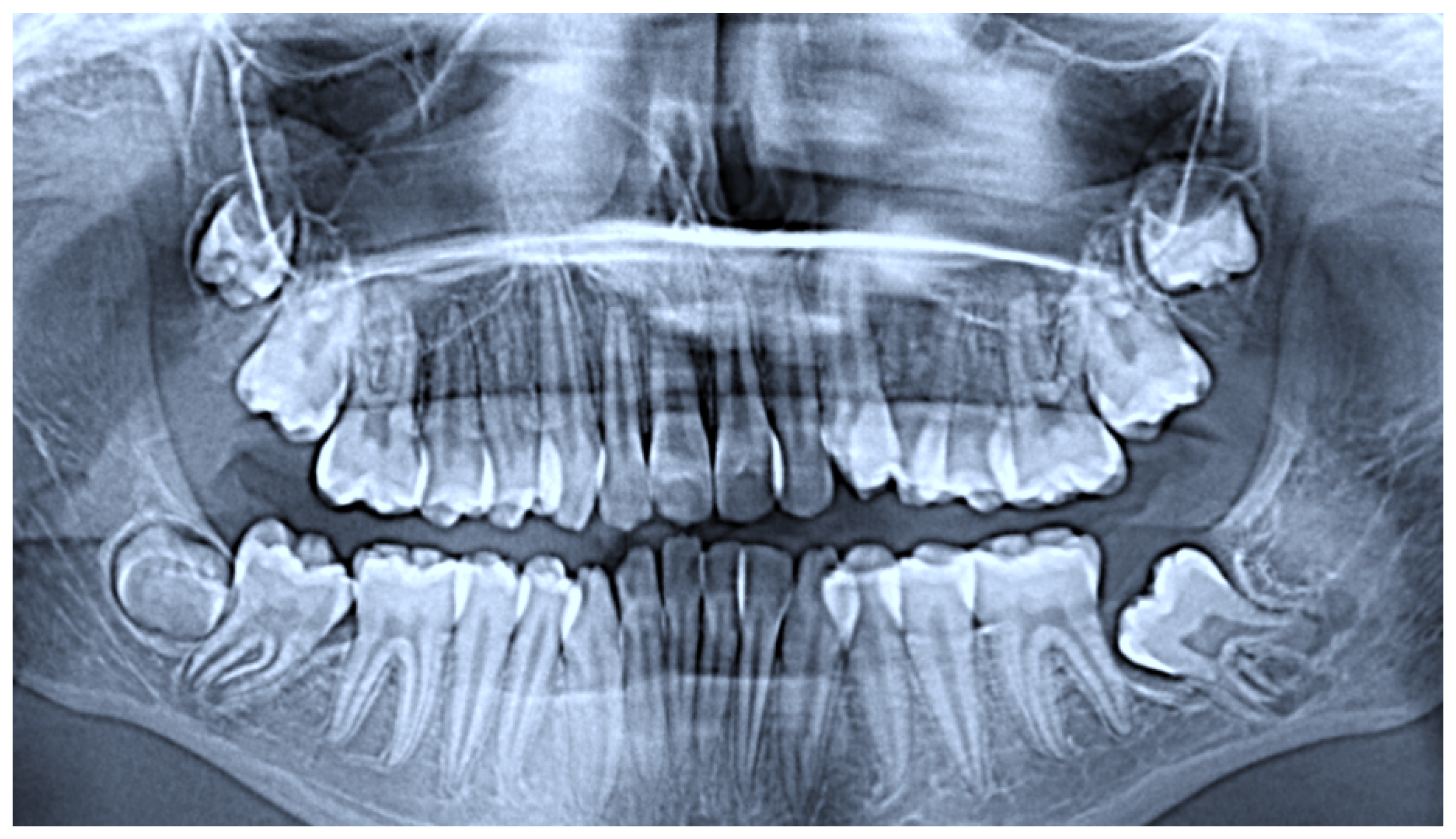 Children 12 00158 g006