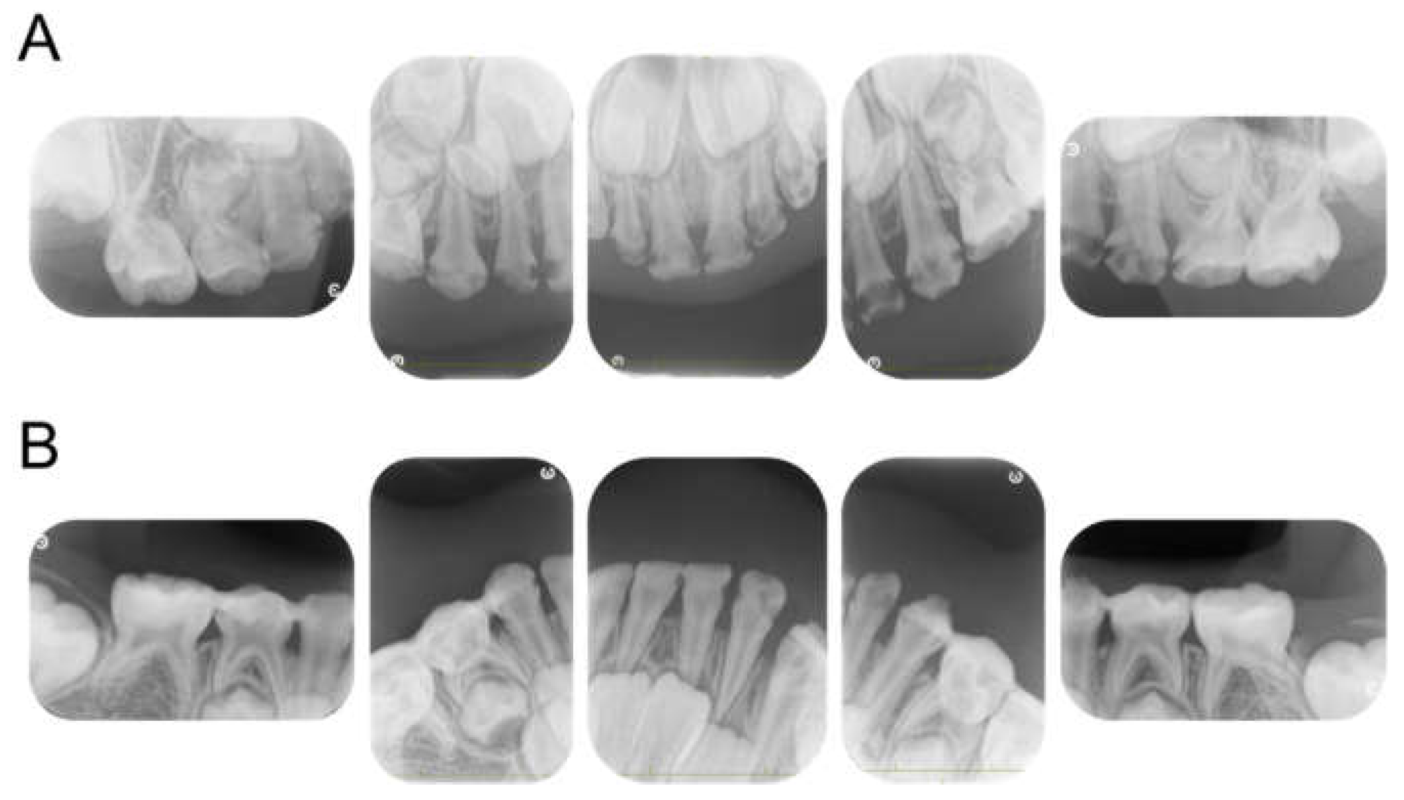 Children 12 00261 g003