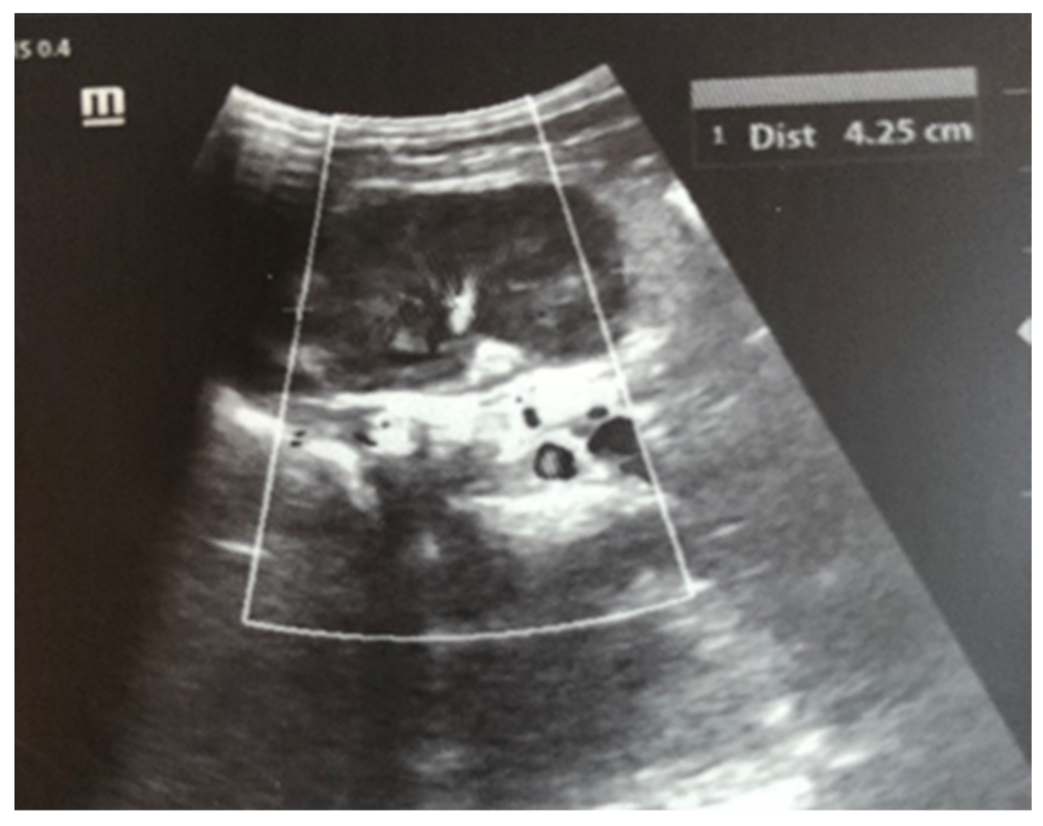 Children 12 00319 g002