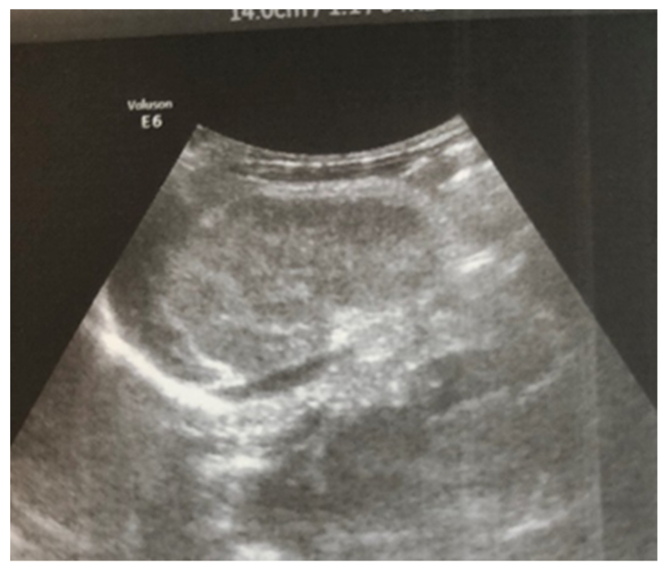 Children 12 00319 g003