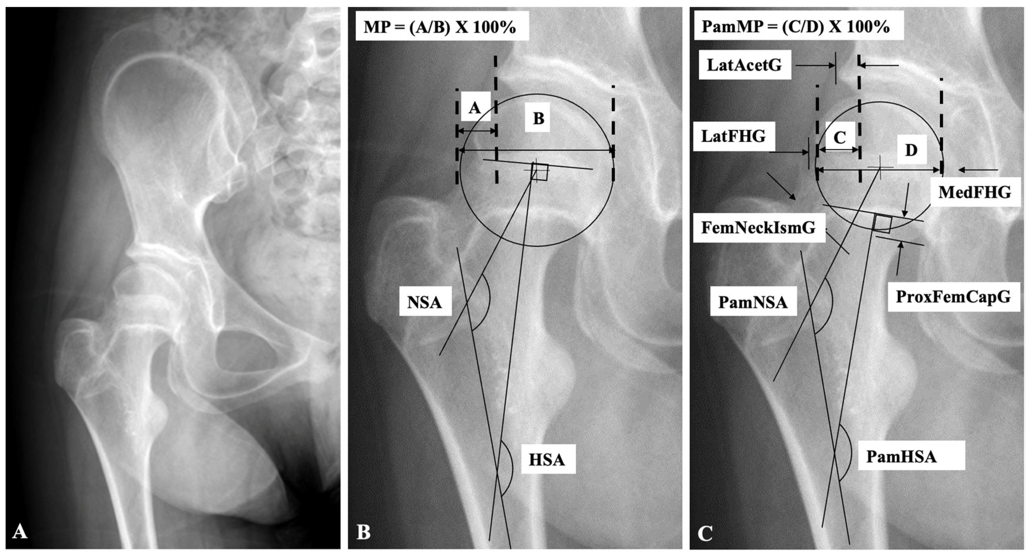 Children 12 00367 g001