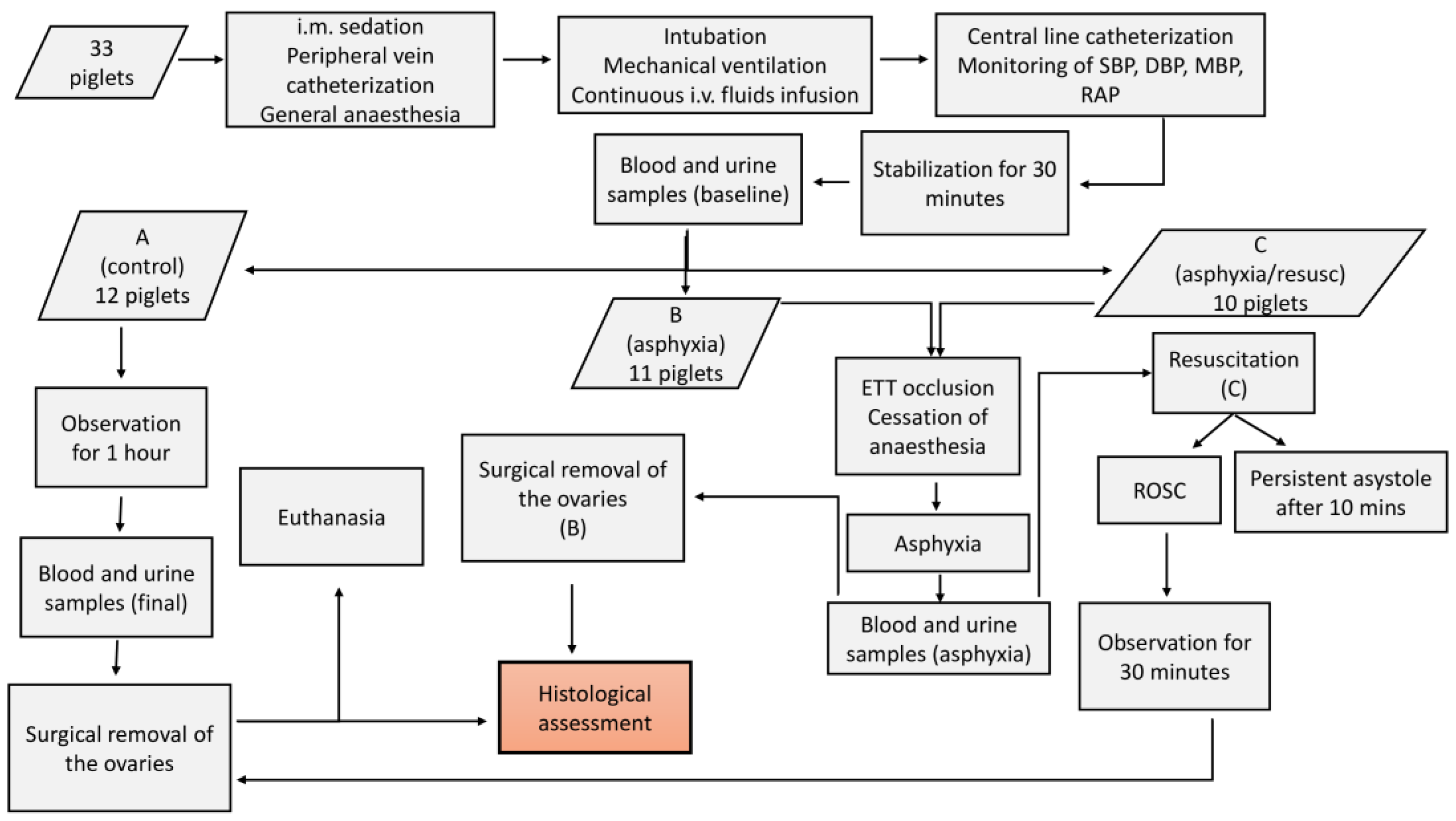 Children 12 00371 g001