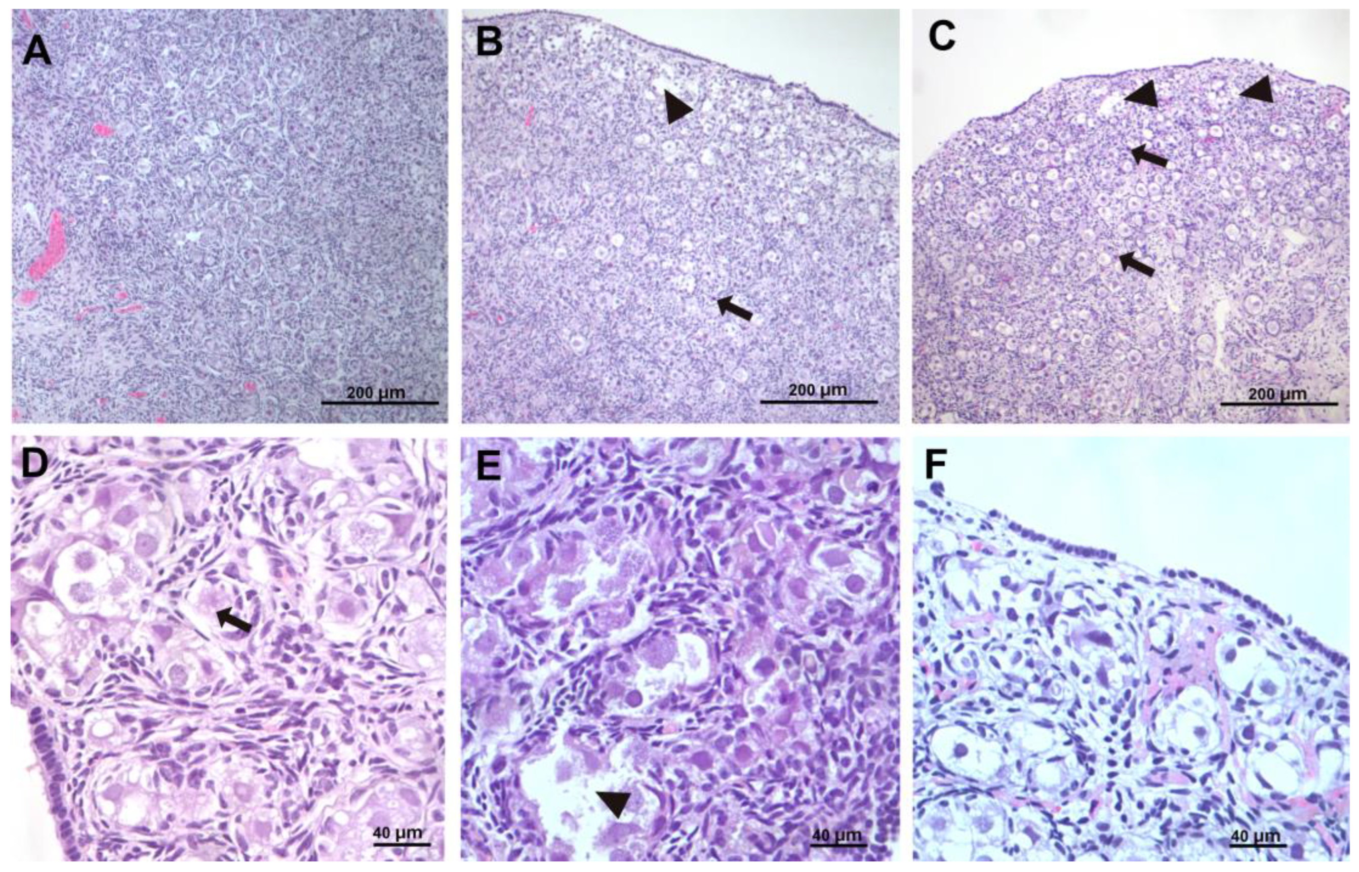 Children 12 00371 g002