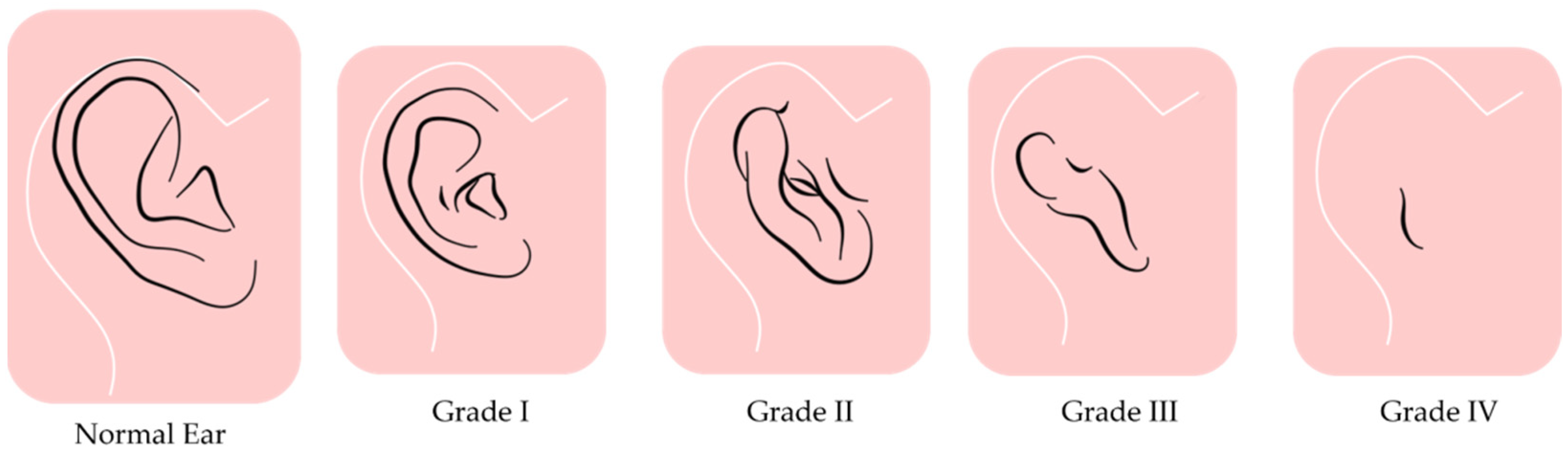 Children 12 00411 g002