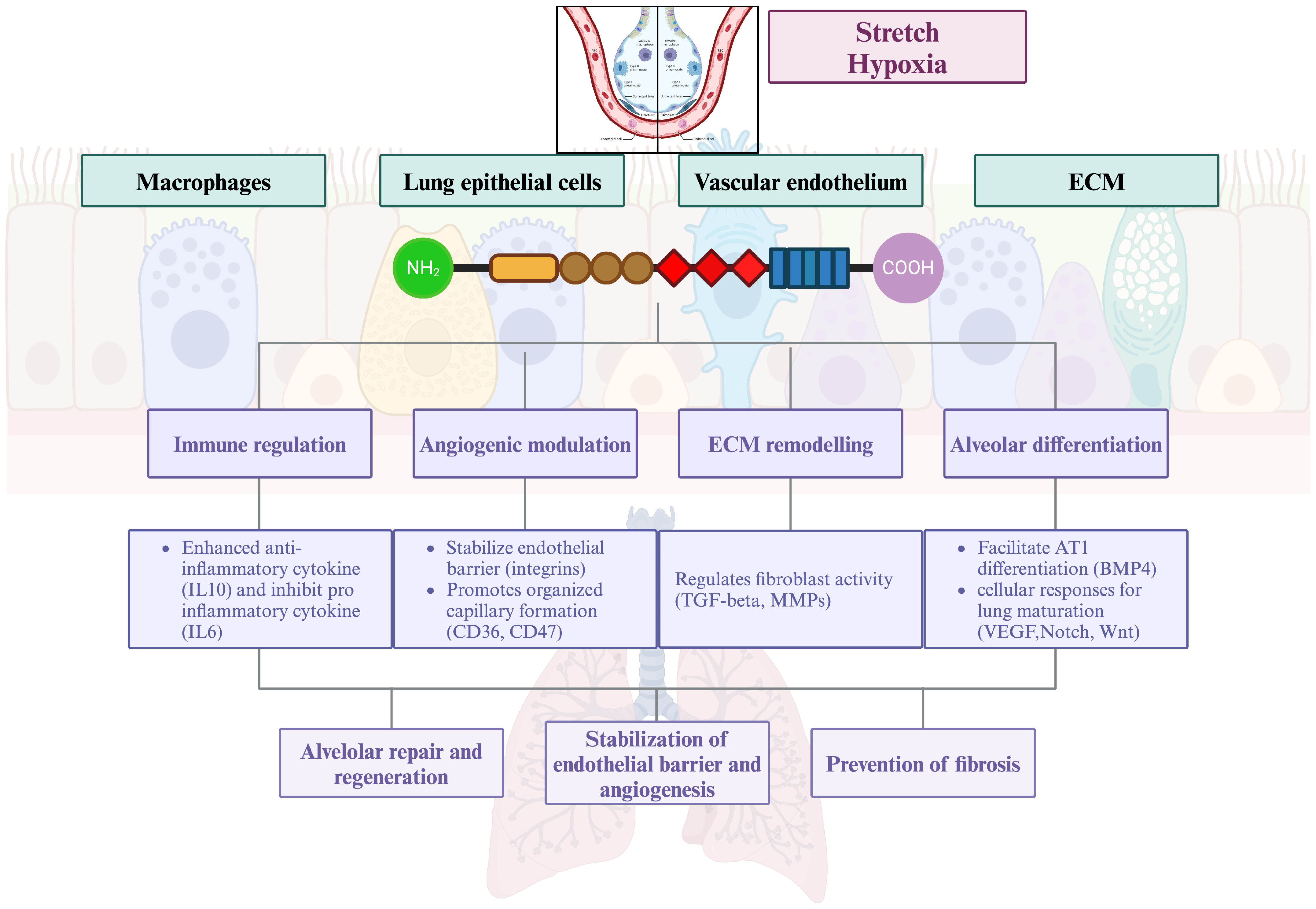 Children 12 00424 g002
