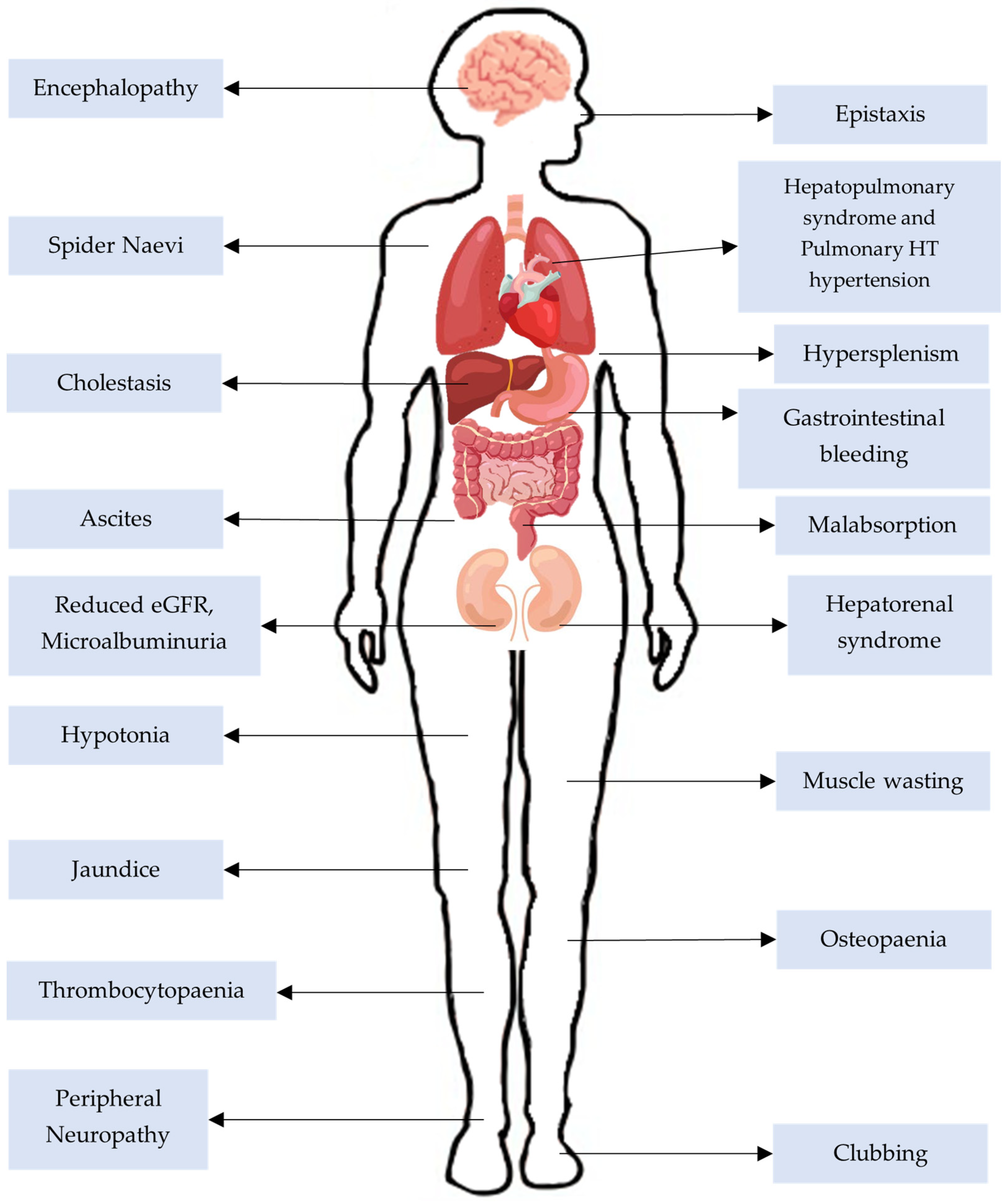 Children 12 00449 g001