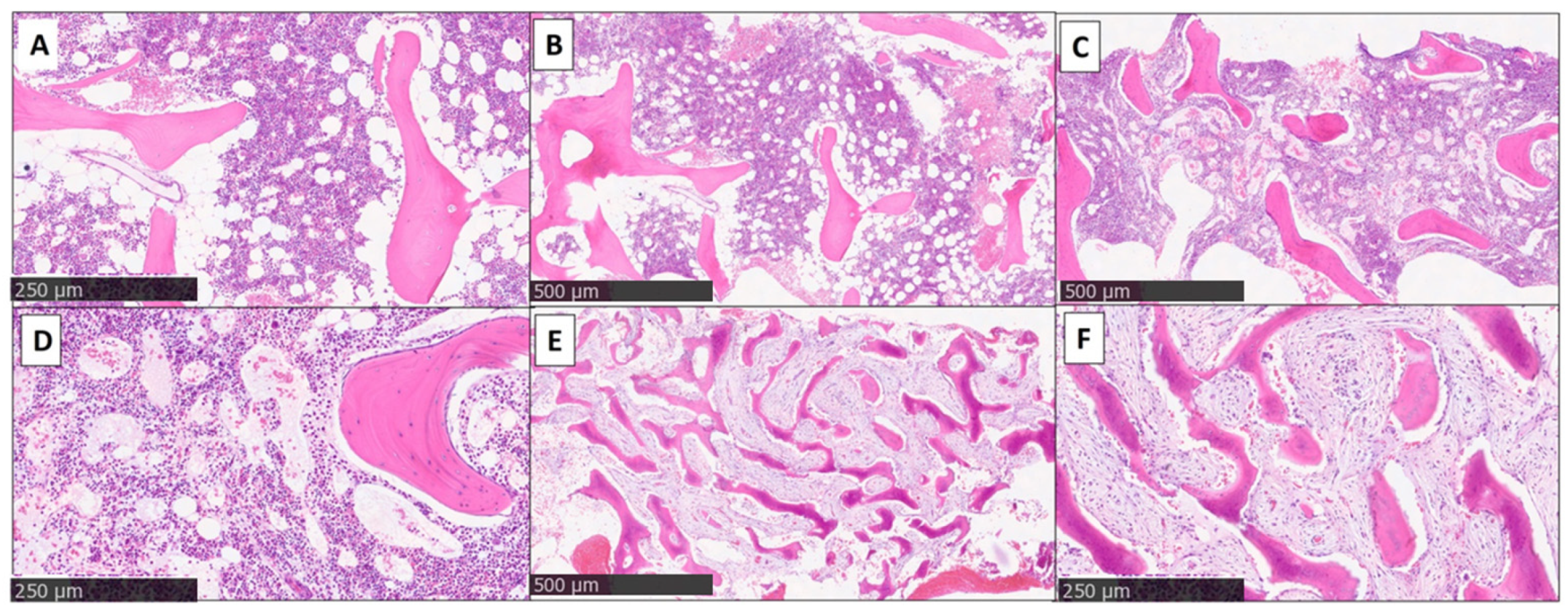 Children 12 00451 g003