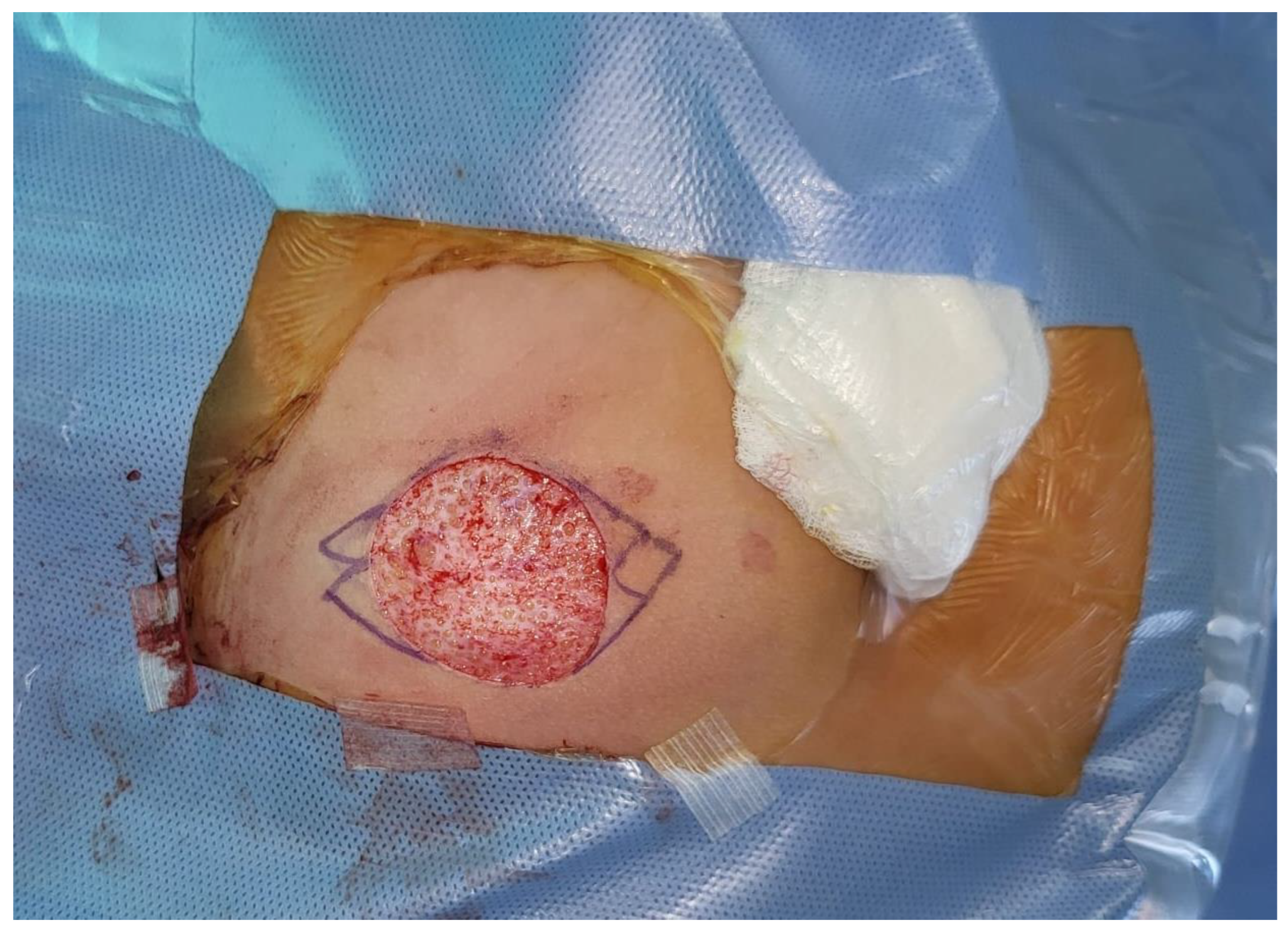 Children 12 00457 g001