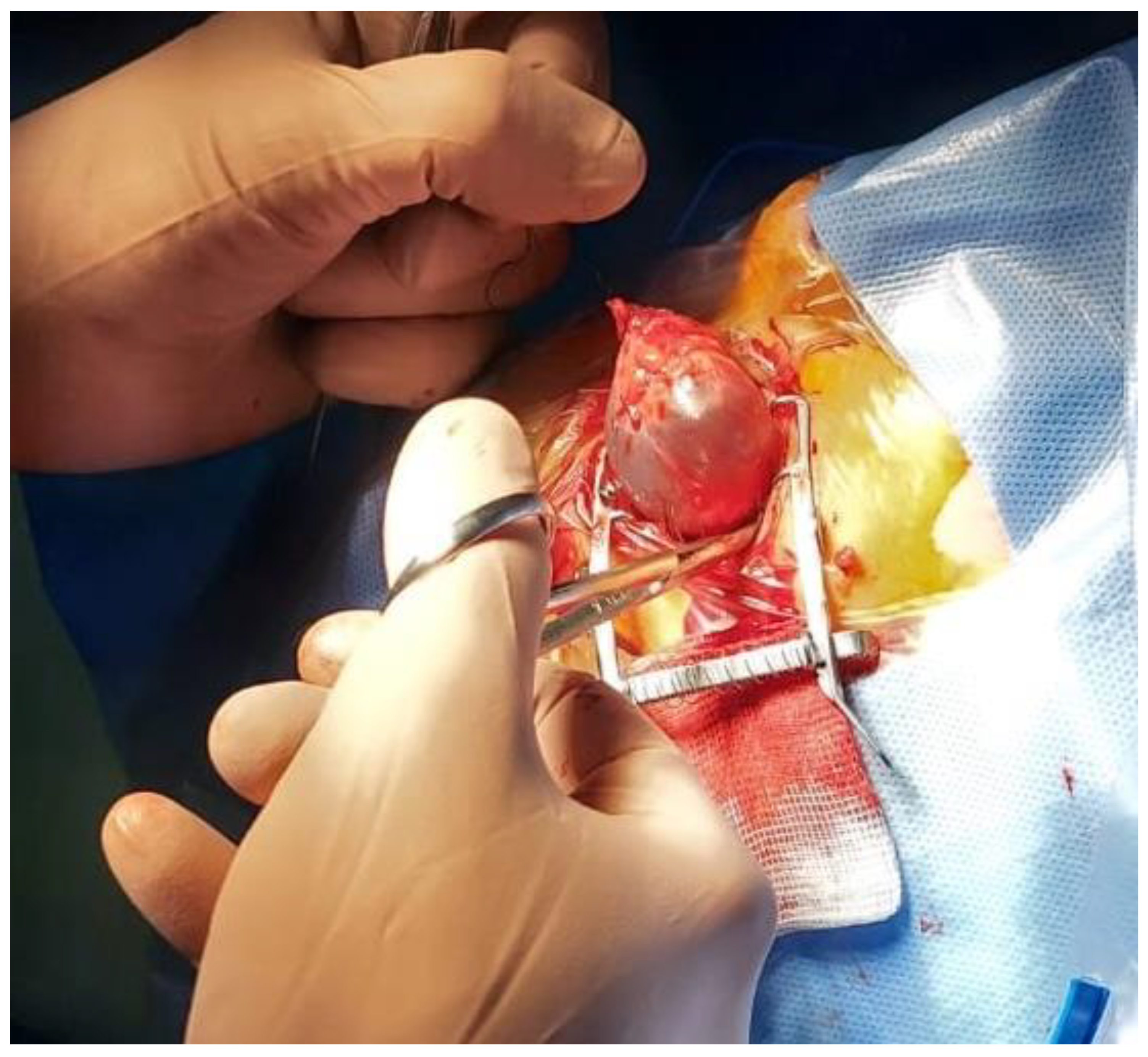 Children 12 00457 g003