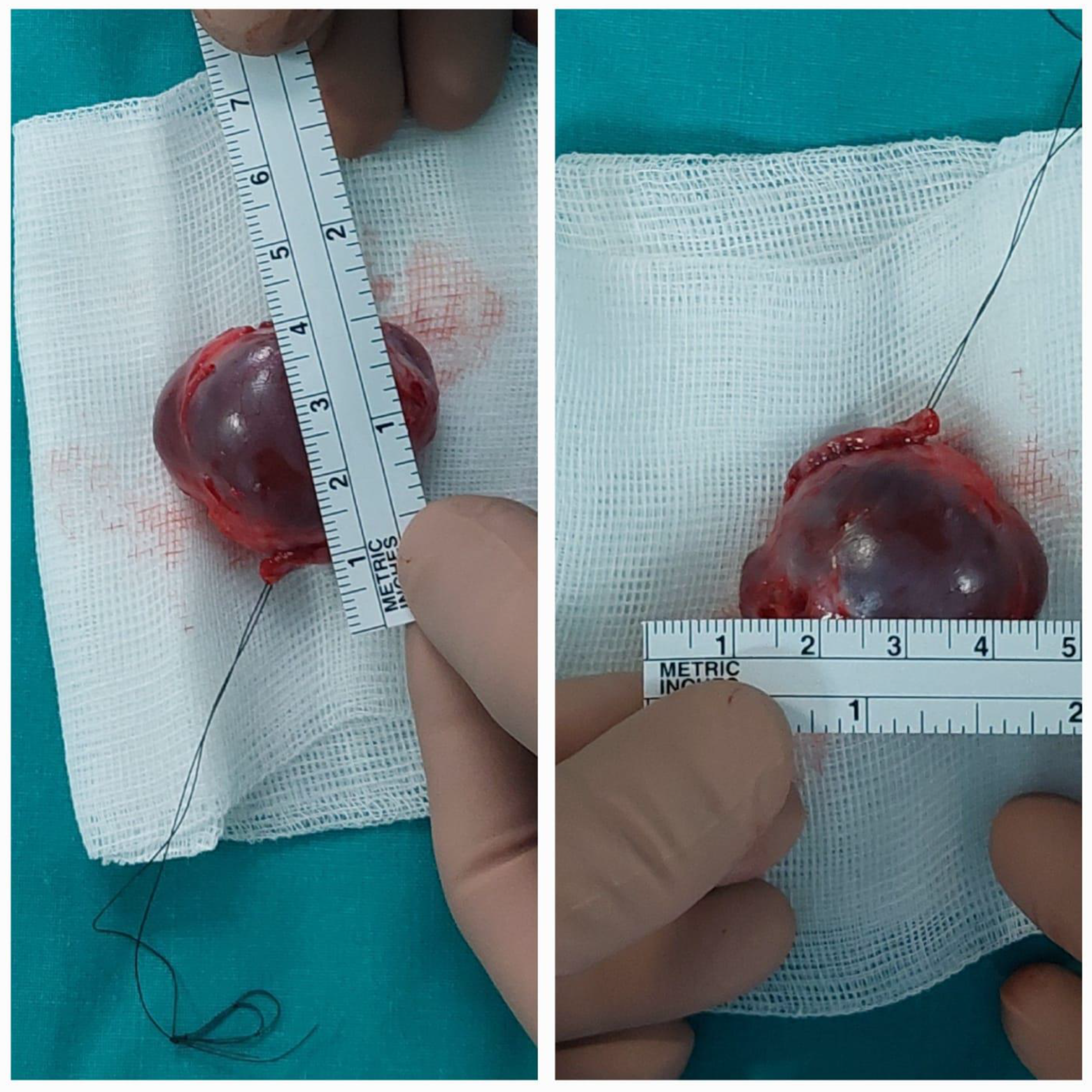 Children 12 00457 g004