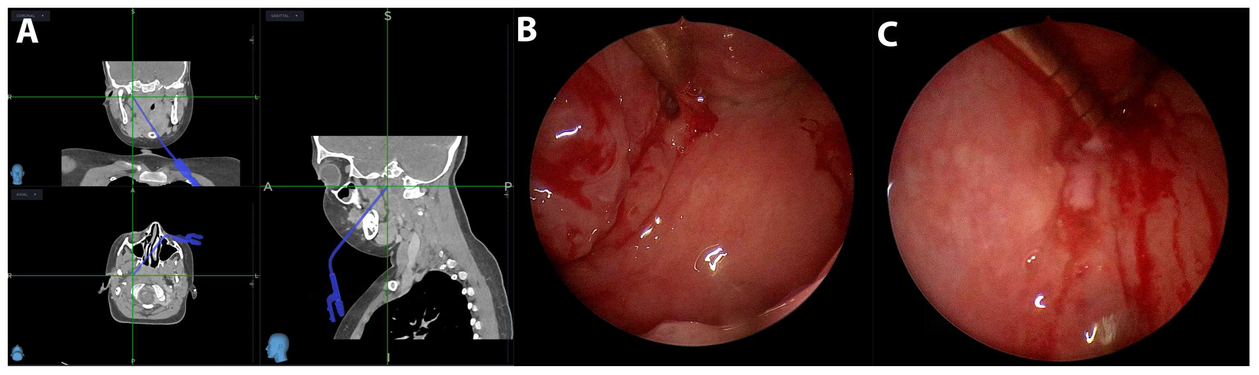 Children 12 00487 g003