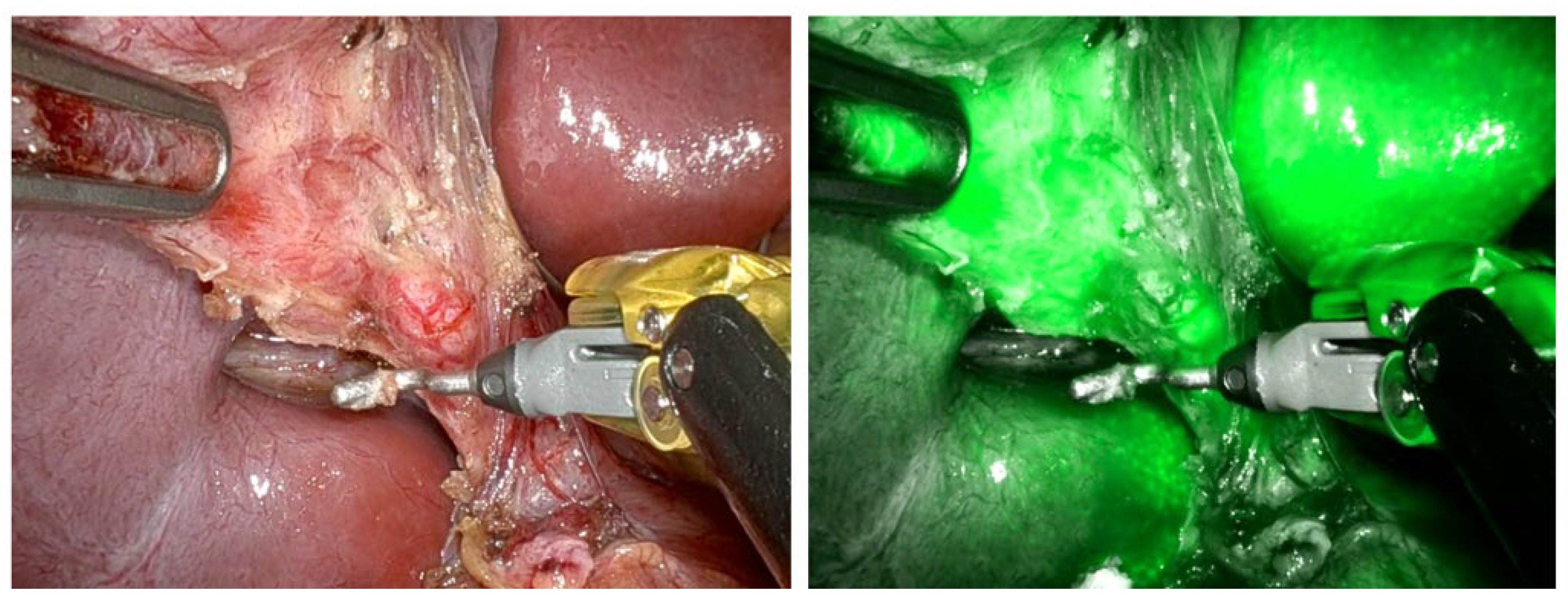 Children 12 00515 g002