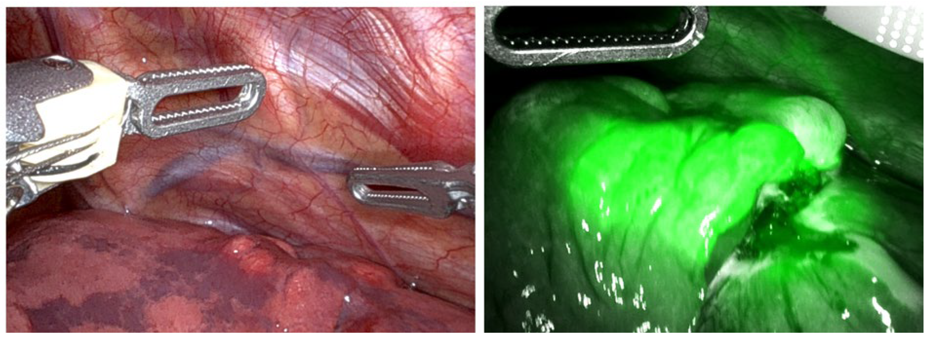 Children 12 00515 g004