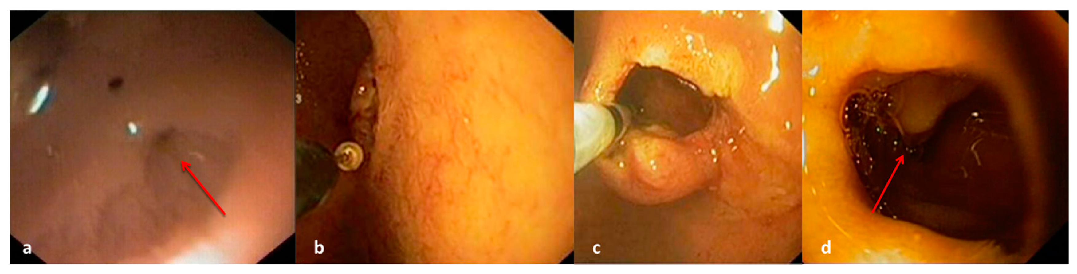 Children 12 00517 g001