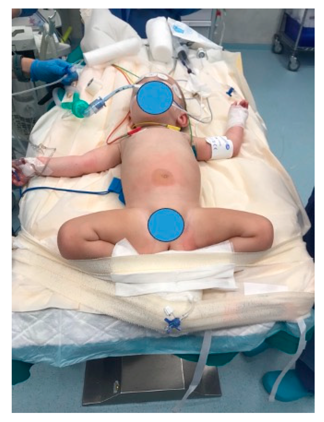 Children 12 00517 g002