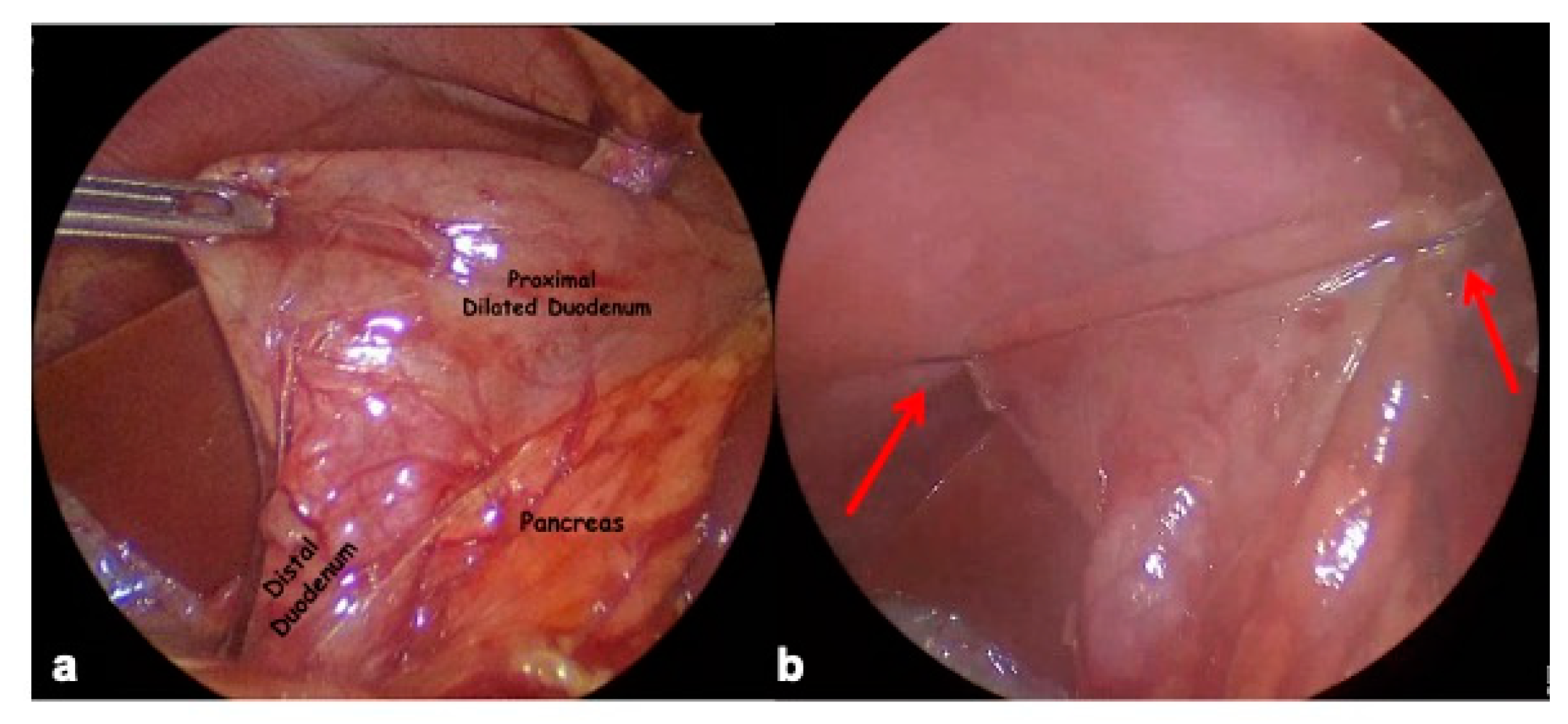Children 12 00517 g004