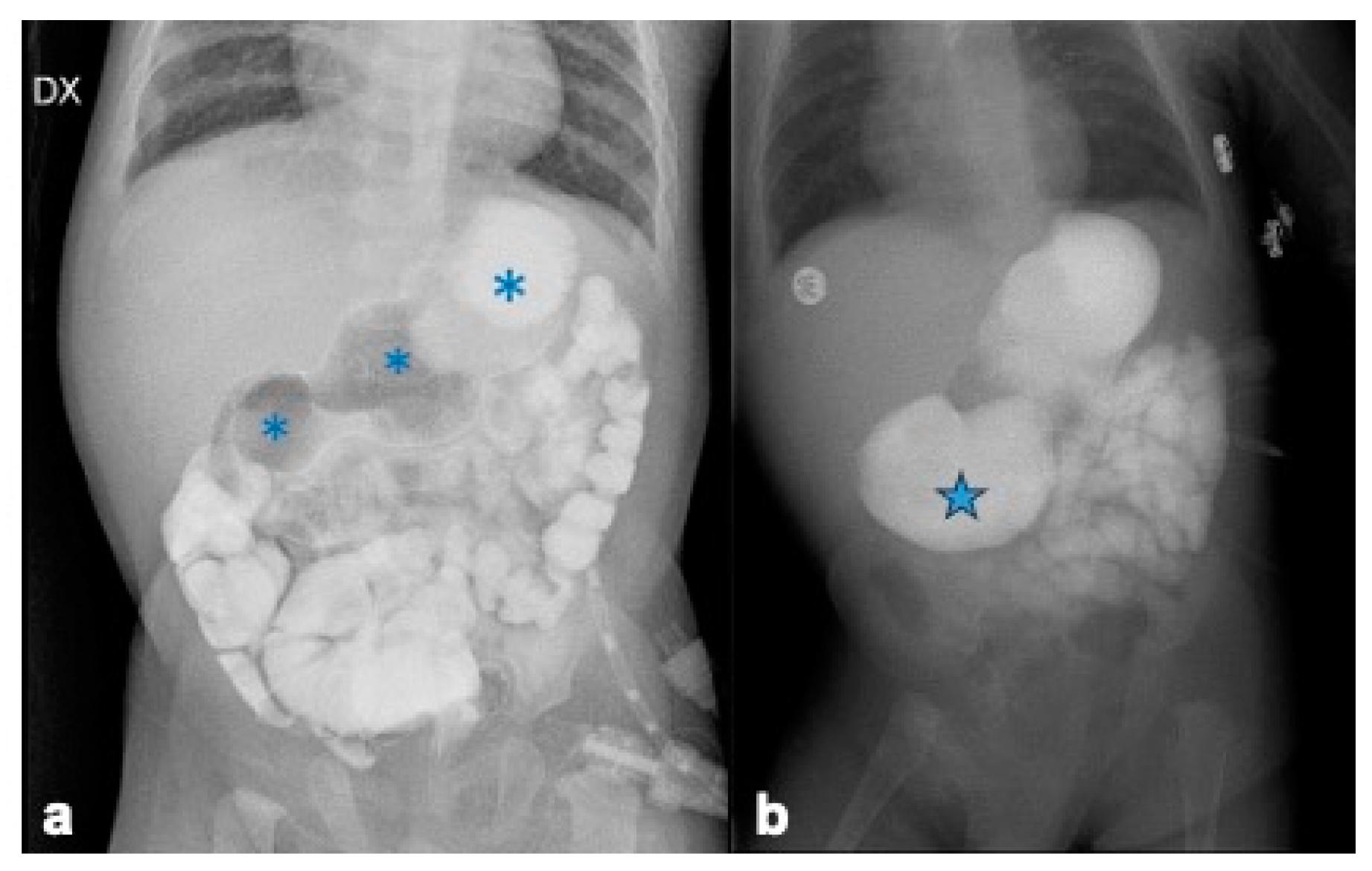 Children 12 00517 g009