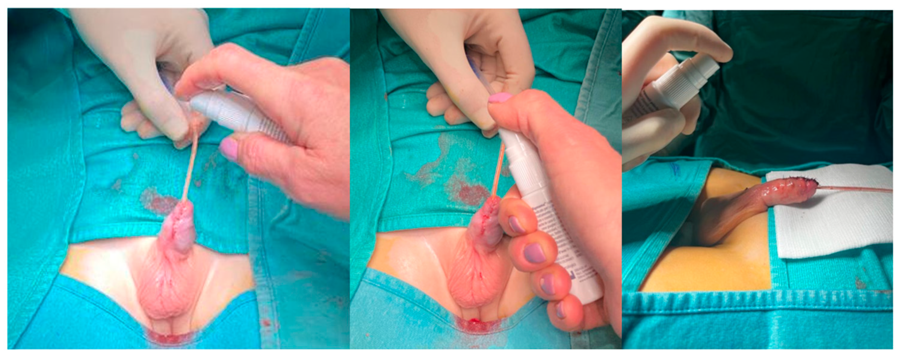 Children 12 00549 g001