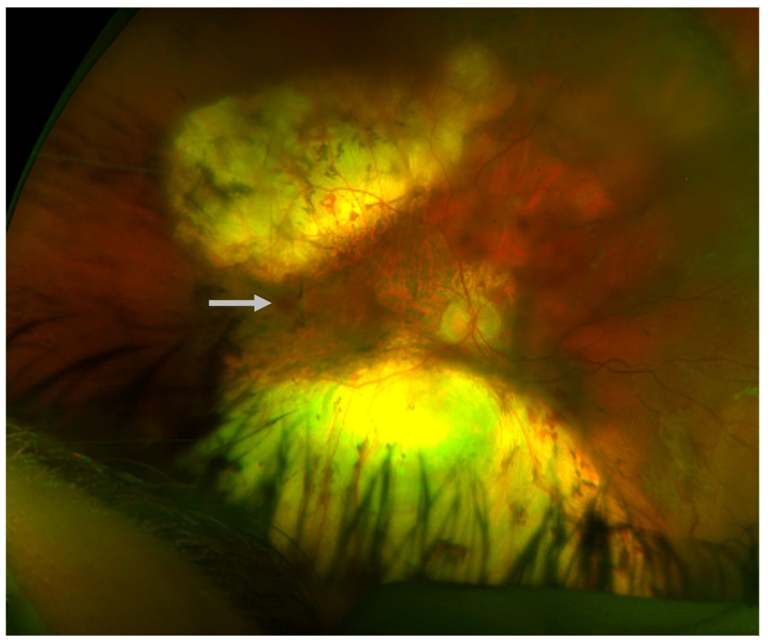 Children 12 00560 g003