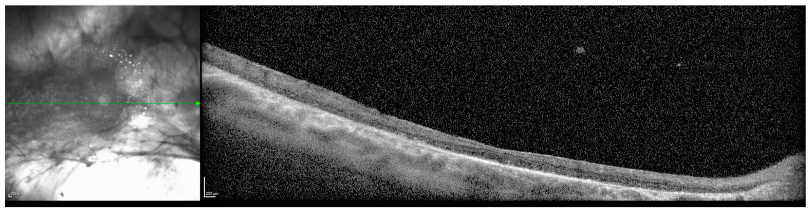 Children 12 00560 g004