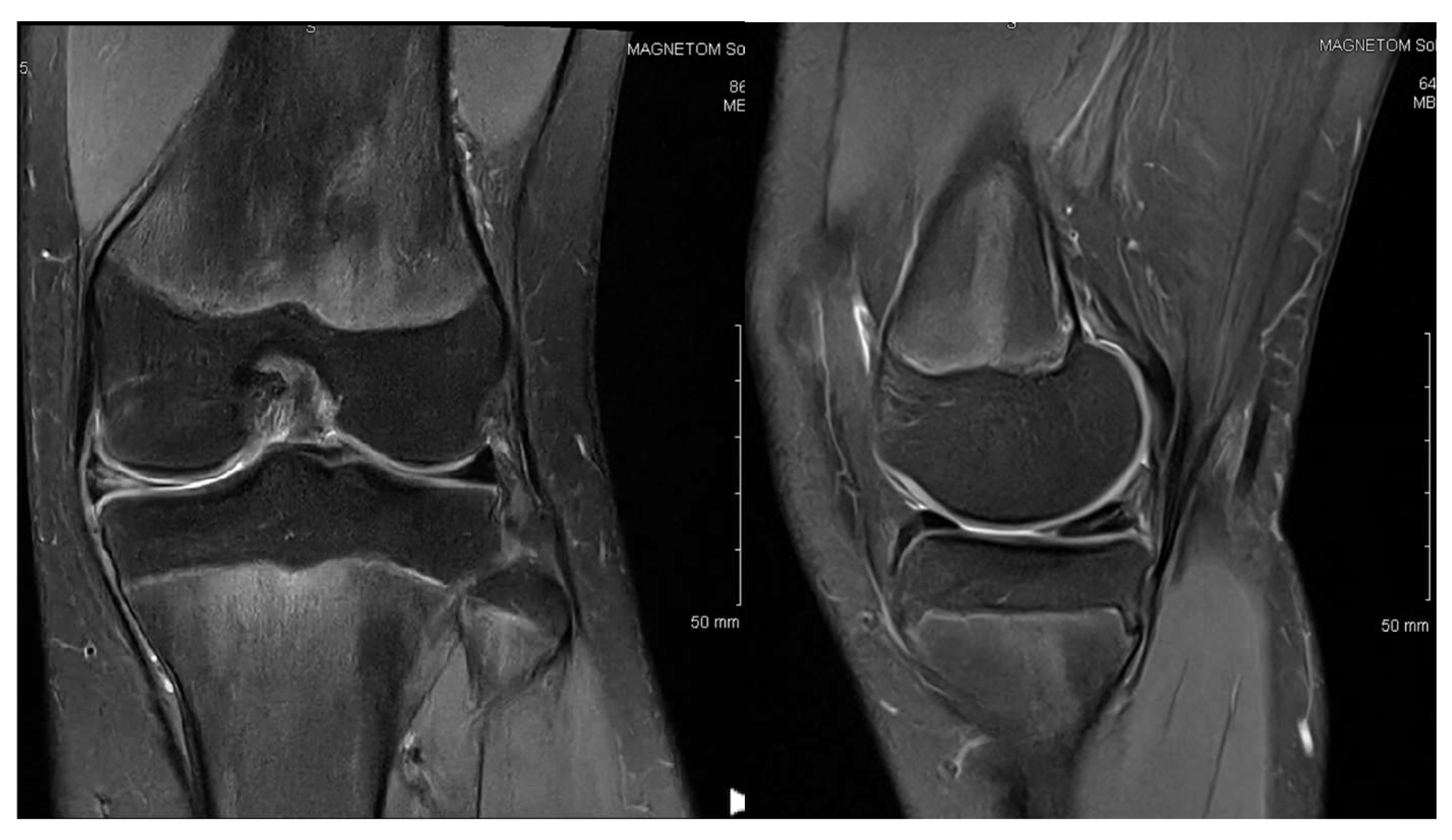 Children 12 00646 g006 Children 12 00646 g006