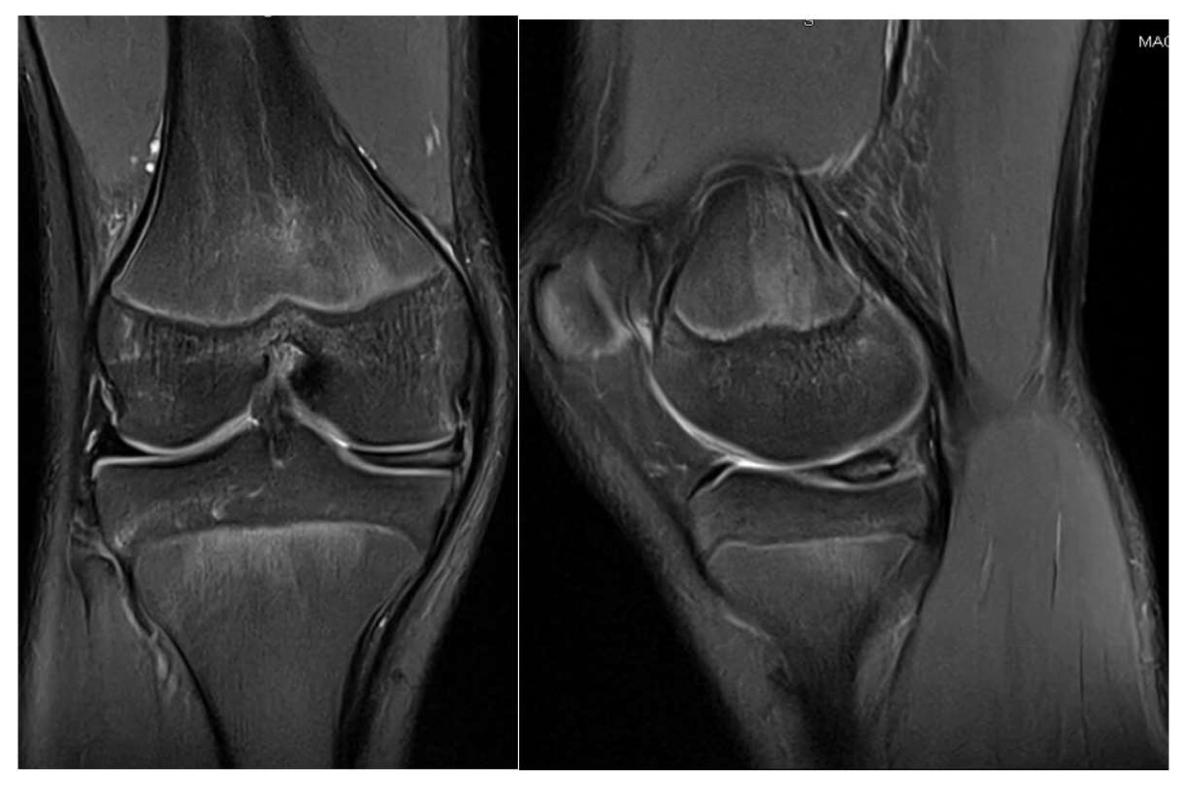 Children 12 00646 g007 Children 12 00646 g007