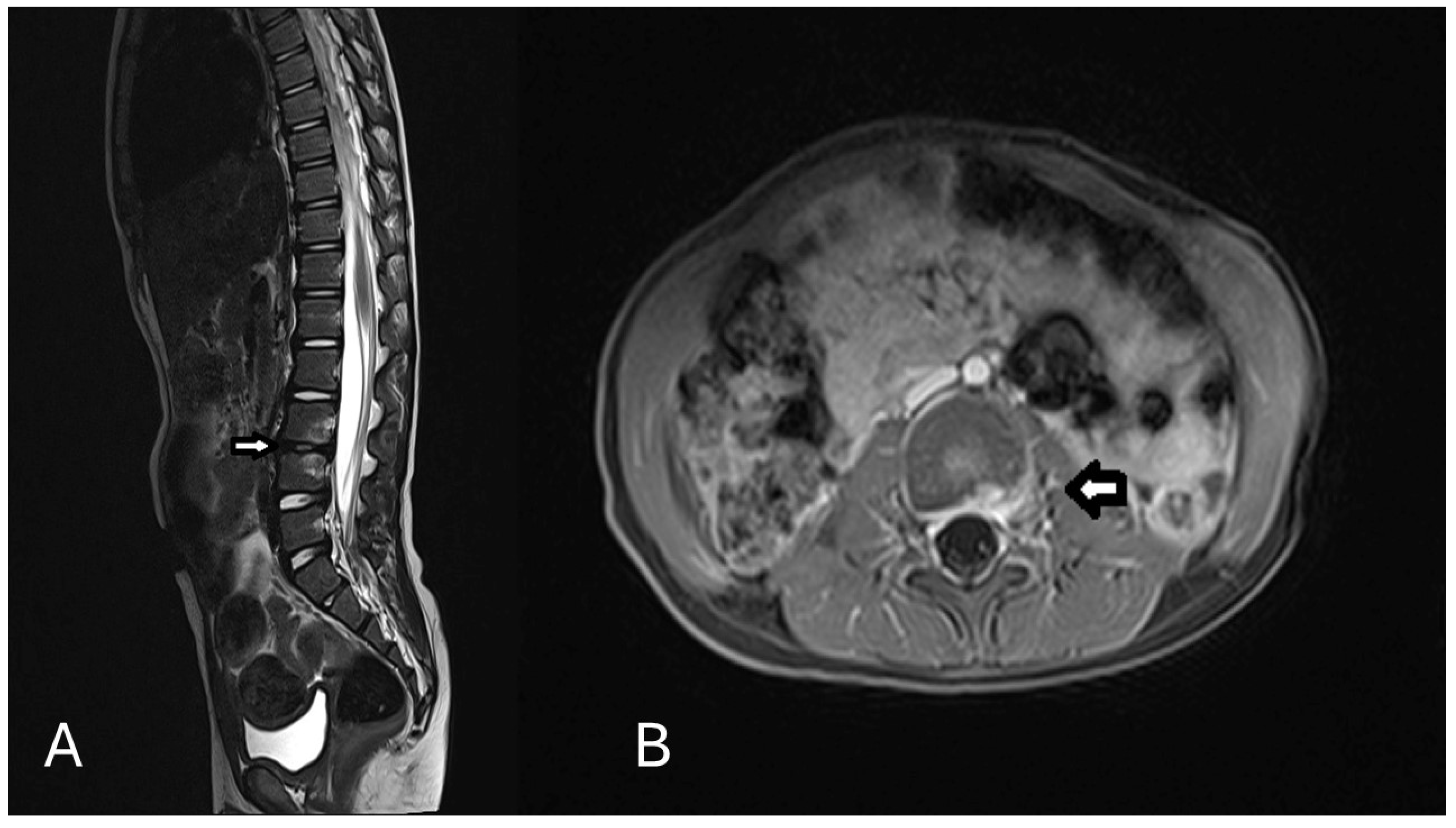 Children 12 00649 g002