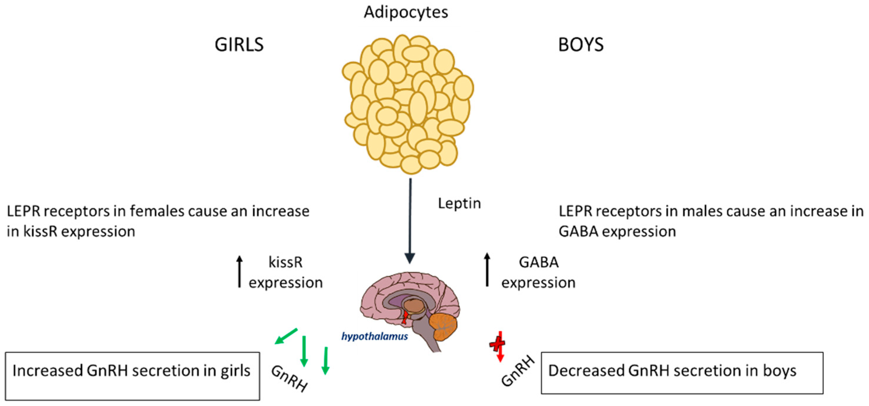 Children 12 00679 g001