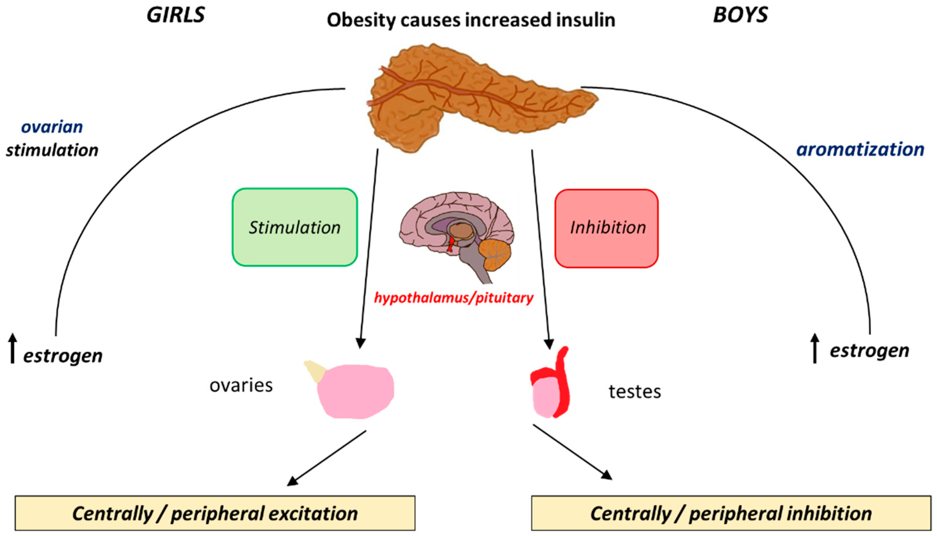 Children 12 00679 g002