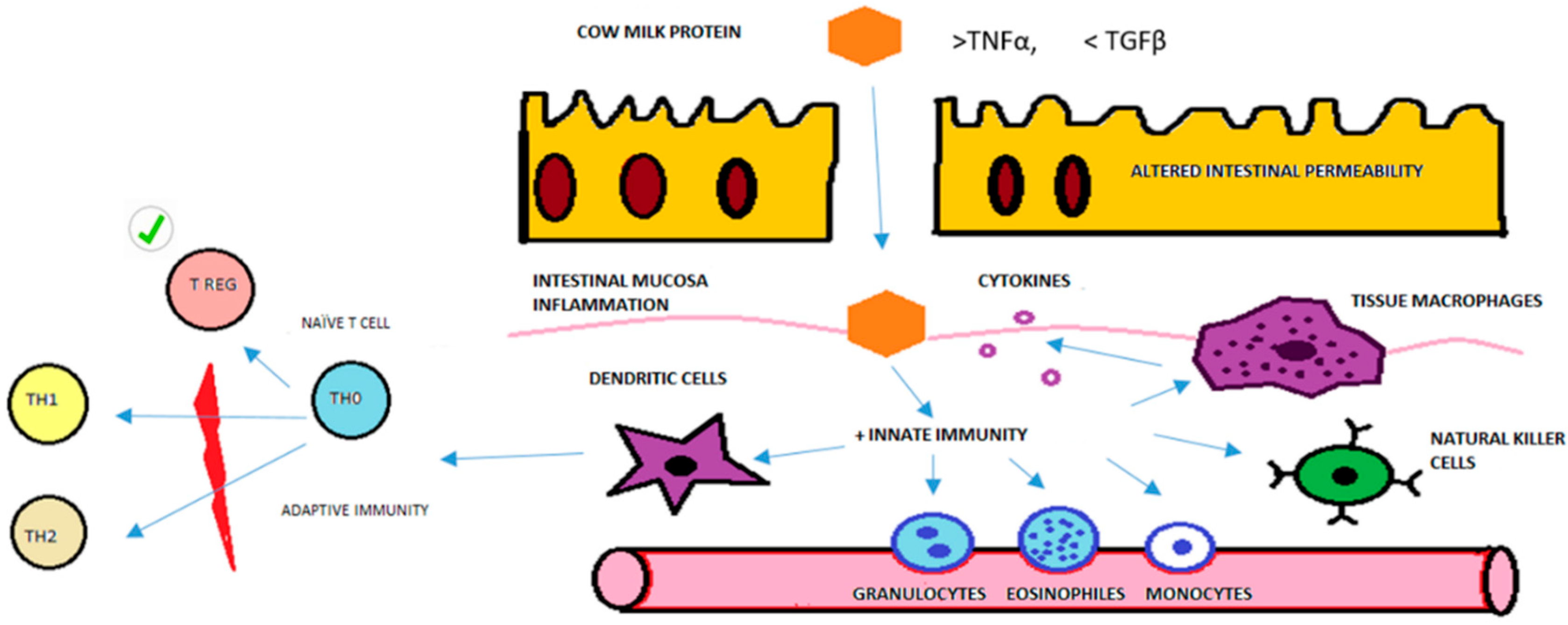 Children 12 00688 g004