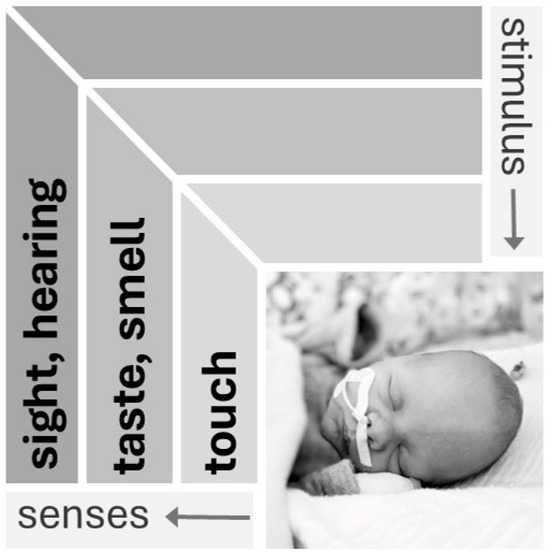 Children 12 00781 g001