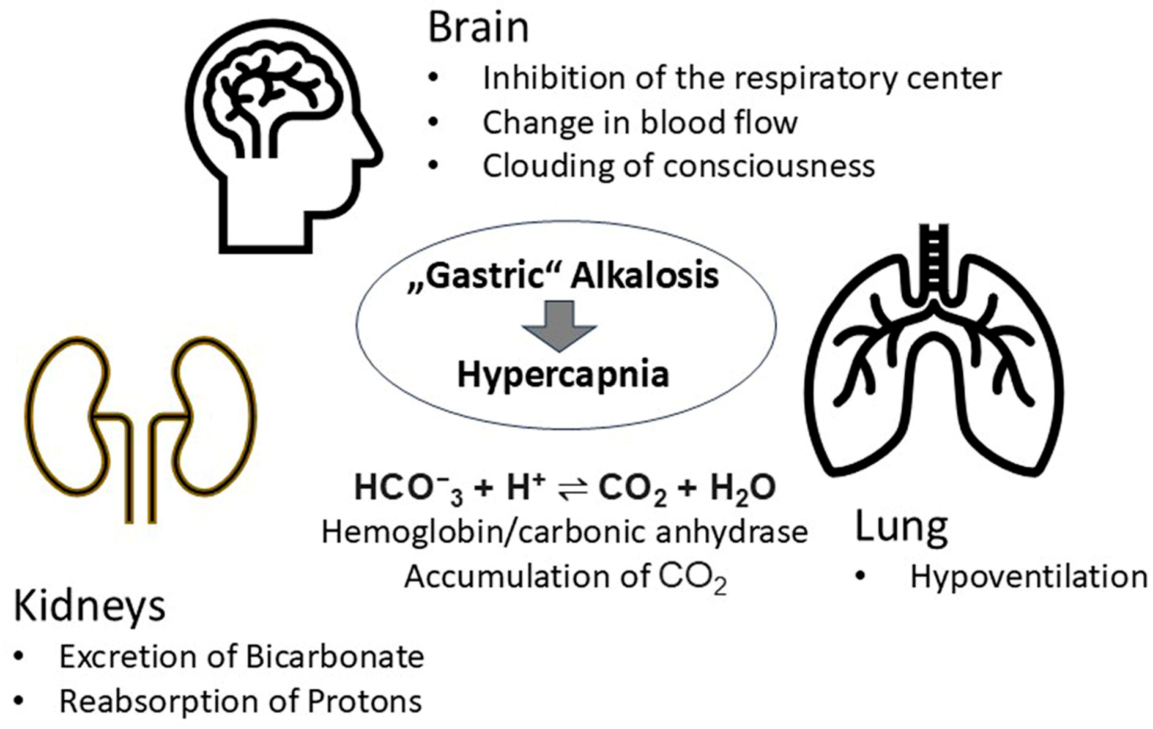 Children 12 00885 g006