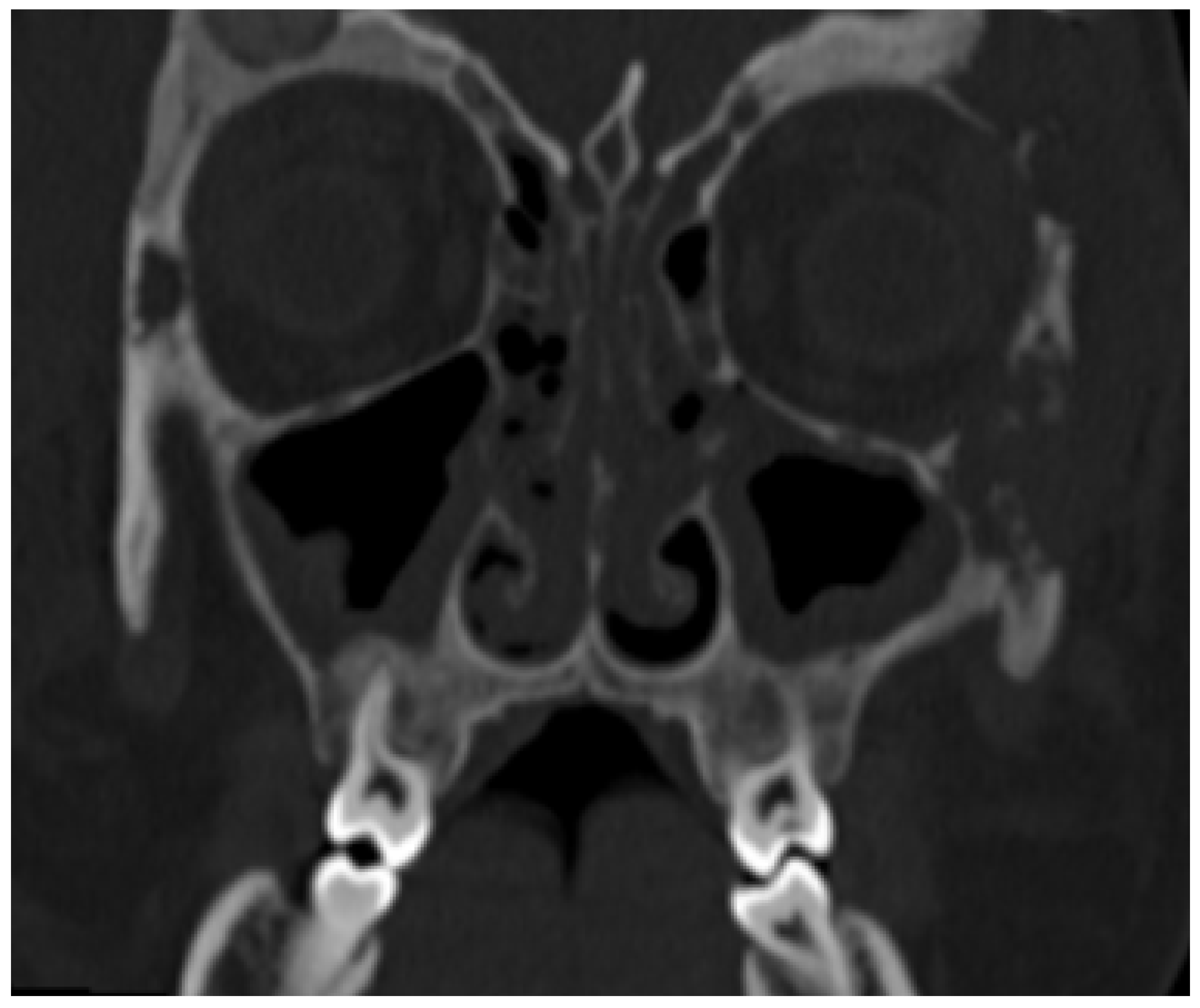 Children 12 00888 g001 Children 12 00888 g001