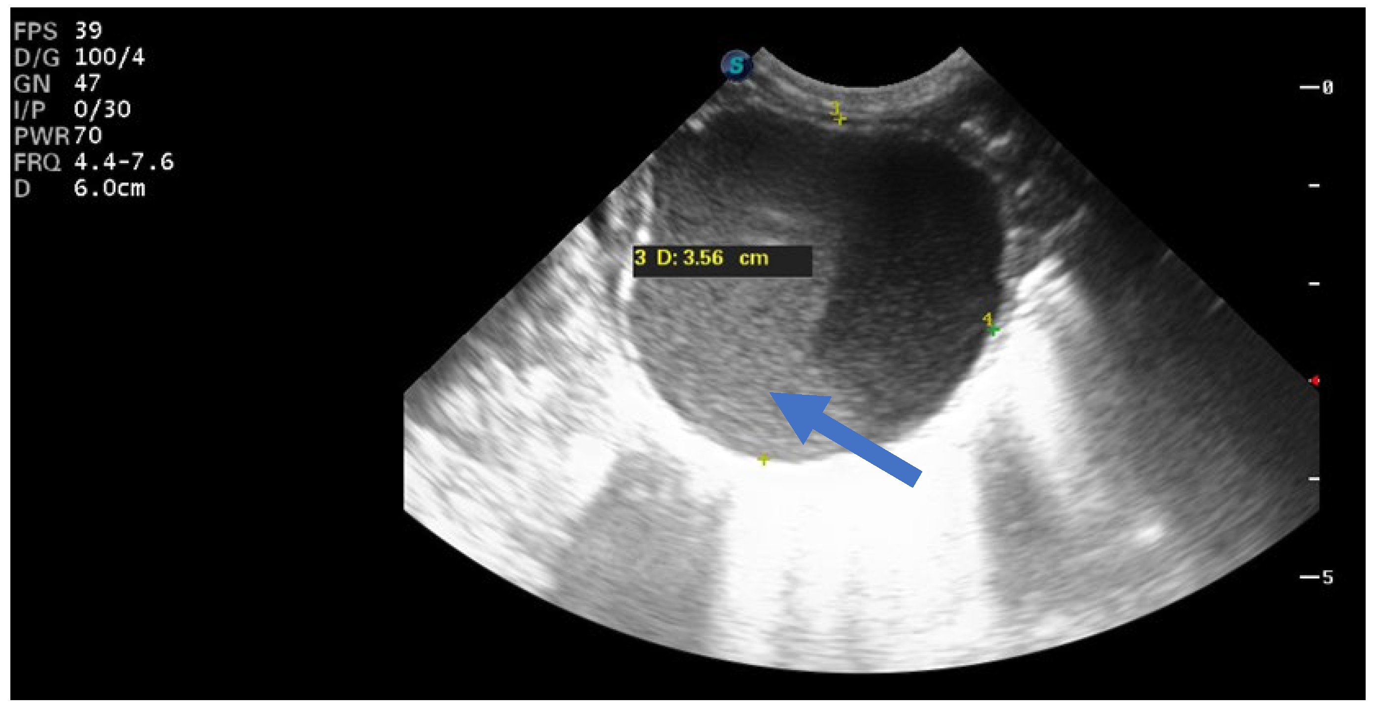 Children 12 00934 g005 Children 12 00934 g005