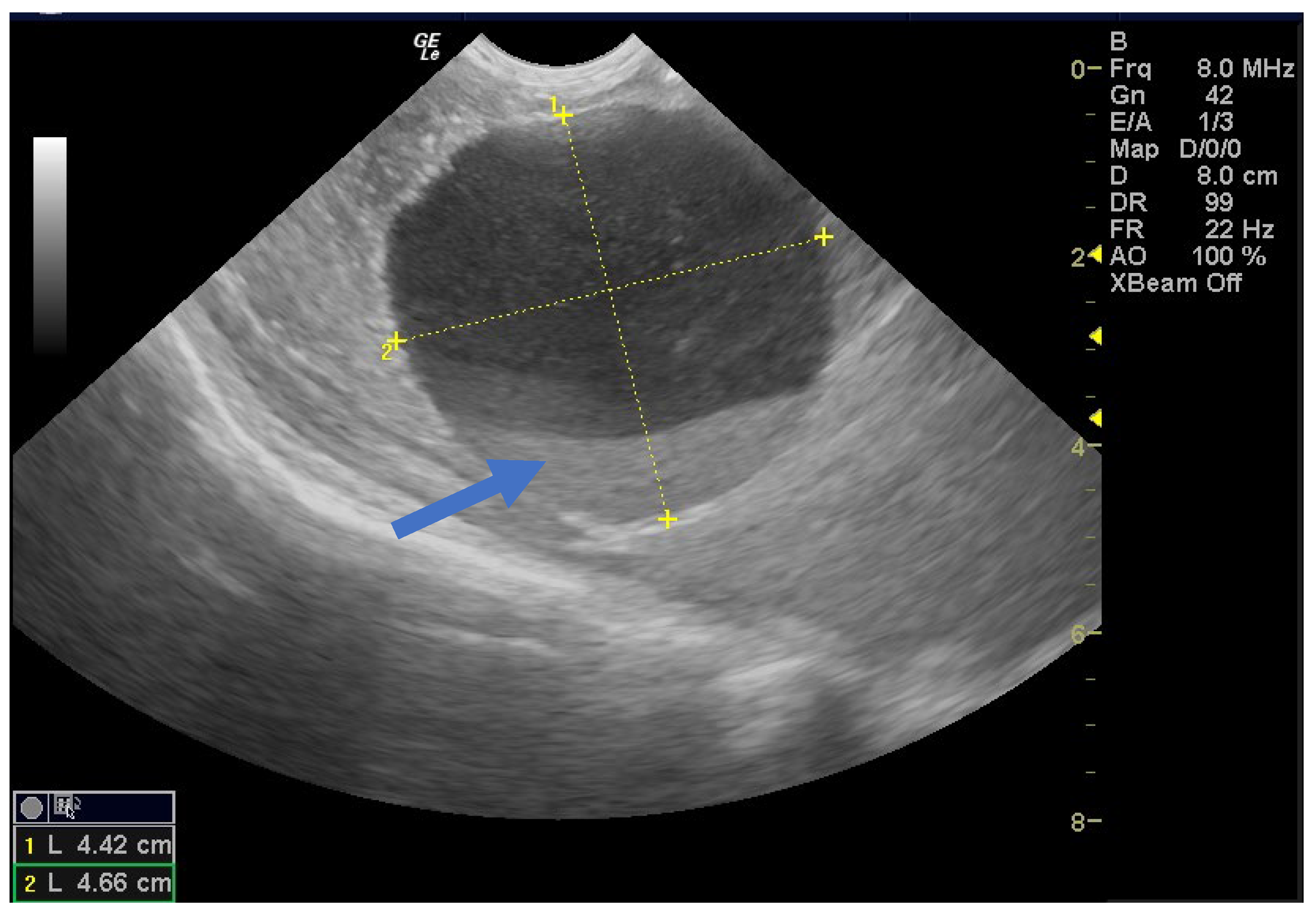 Children 12 00934 g007 Children 12 00934 g007