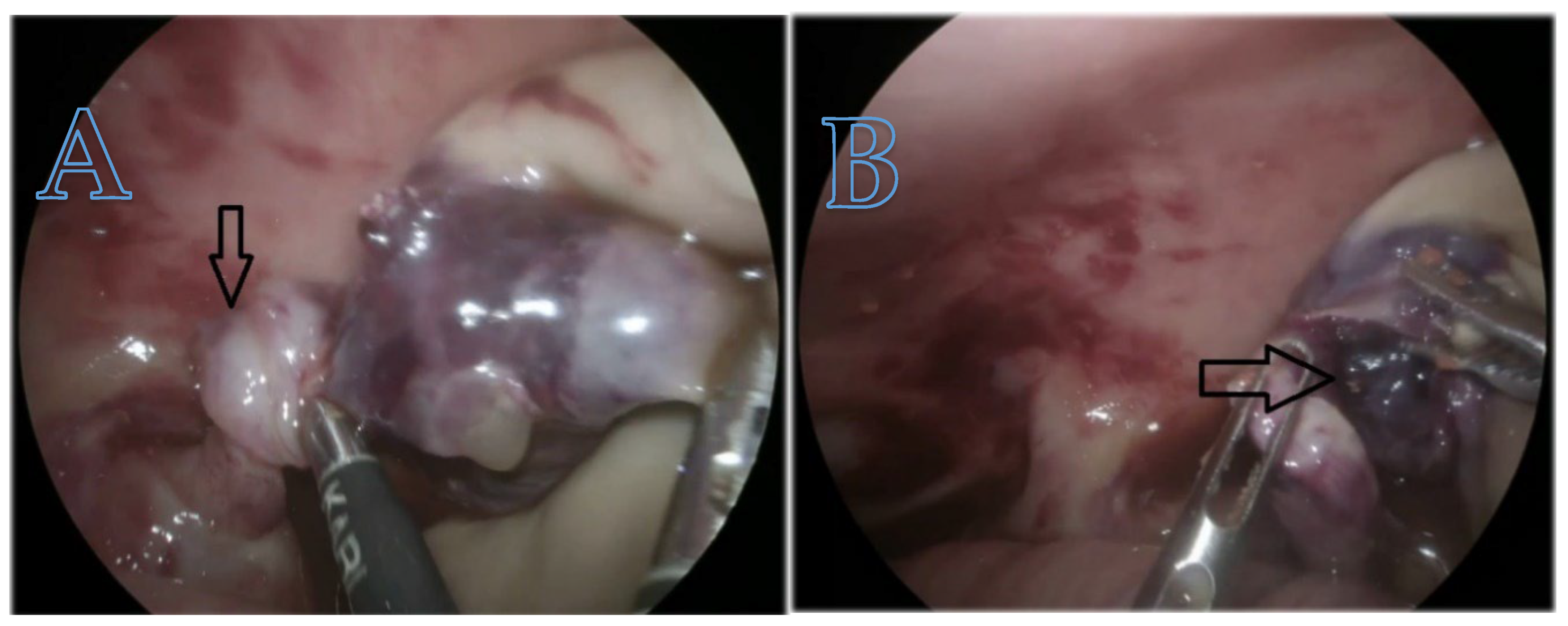 Children 12 00934 g008 Children 12 00934 g008