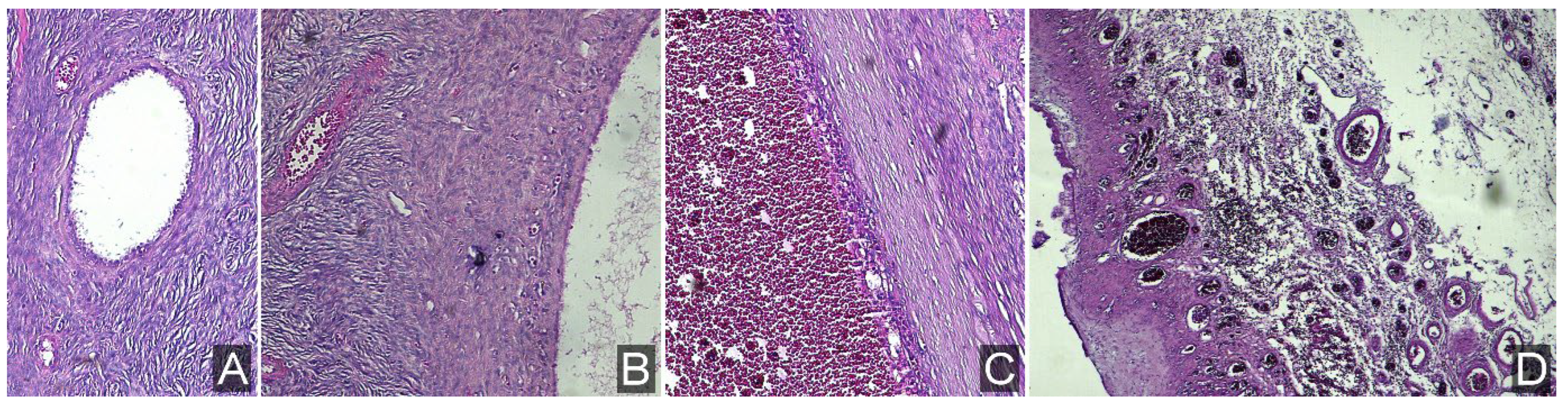 Children 12 00934 g009 Children 12 00934 g009