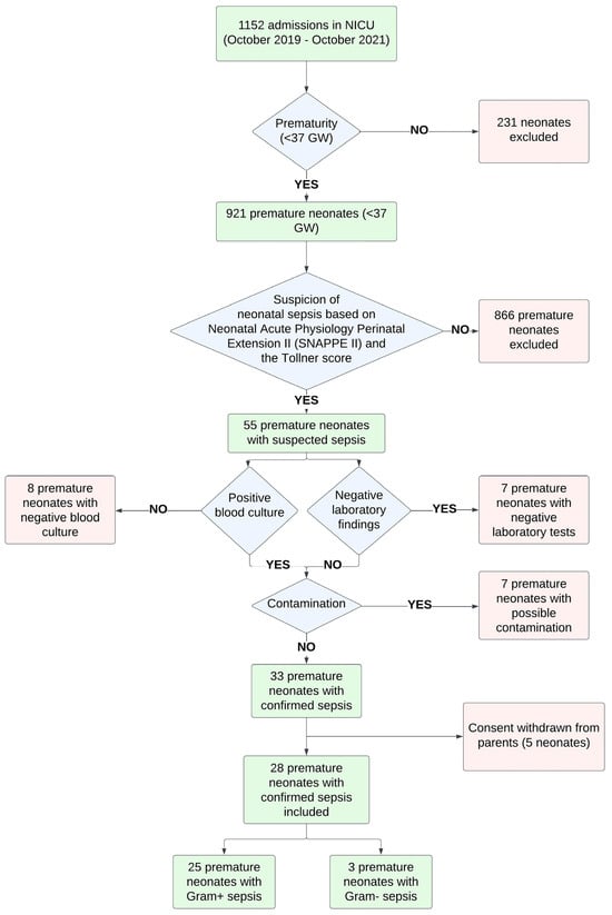 Children 12 00948 g001