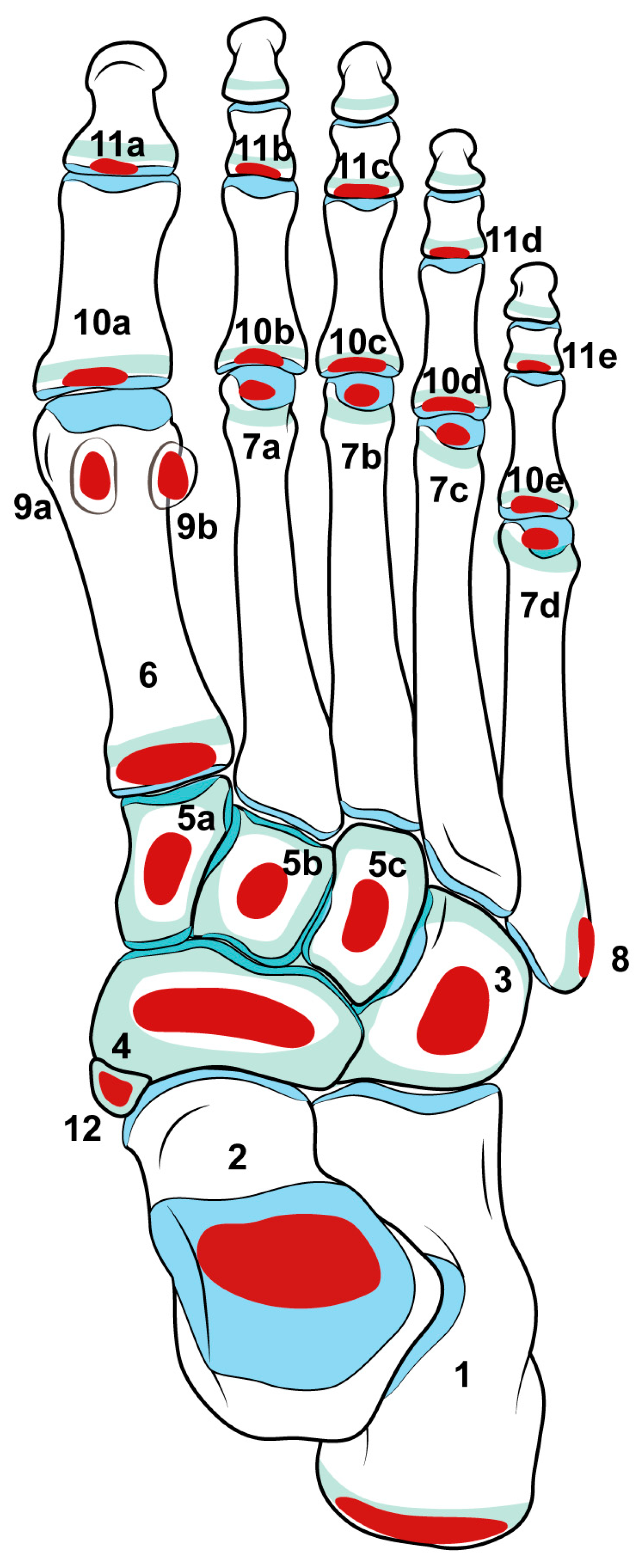 Children 12 01114 g001