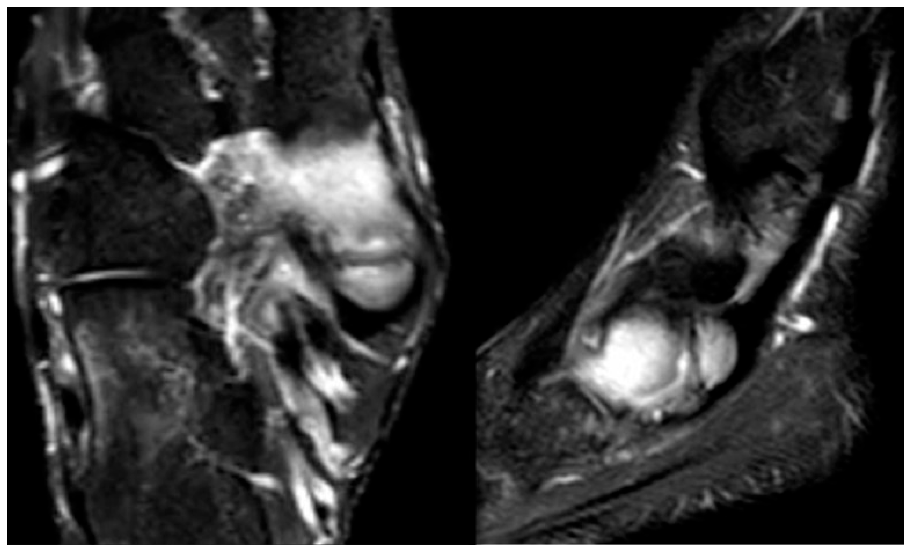 Children 12 01114 g018