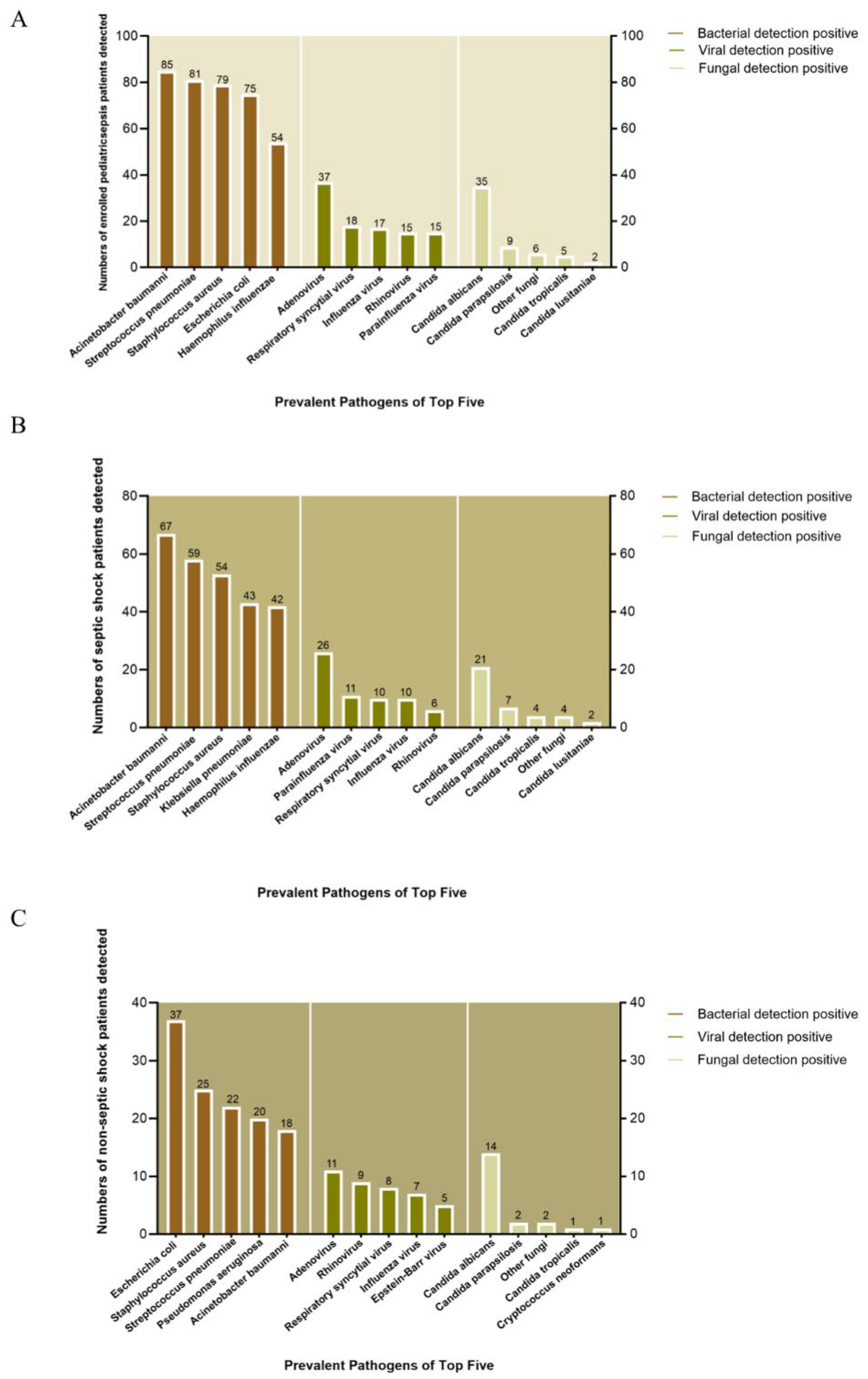 Children 12 01146 g003 Children 12 01146 g003
