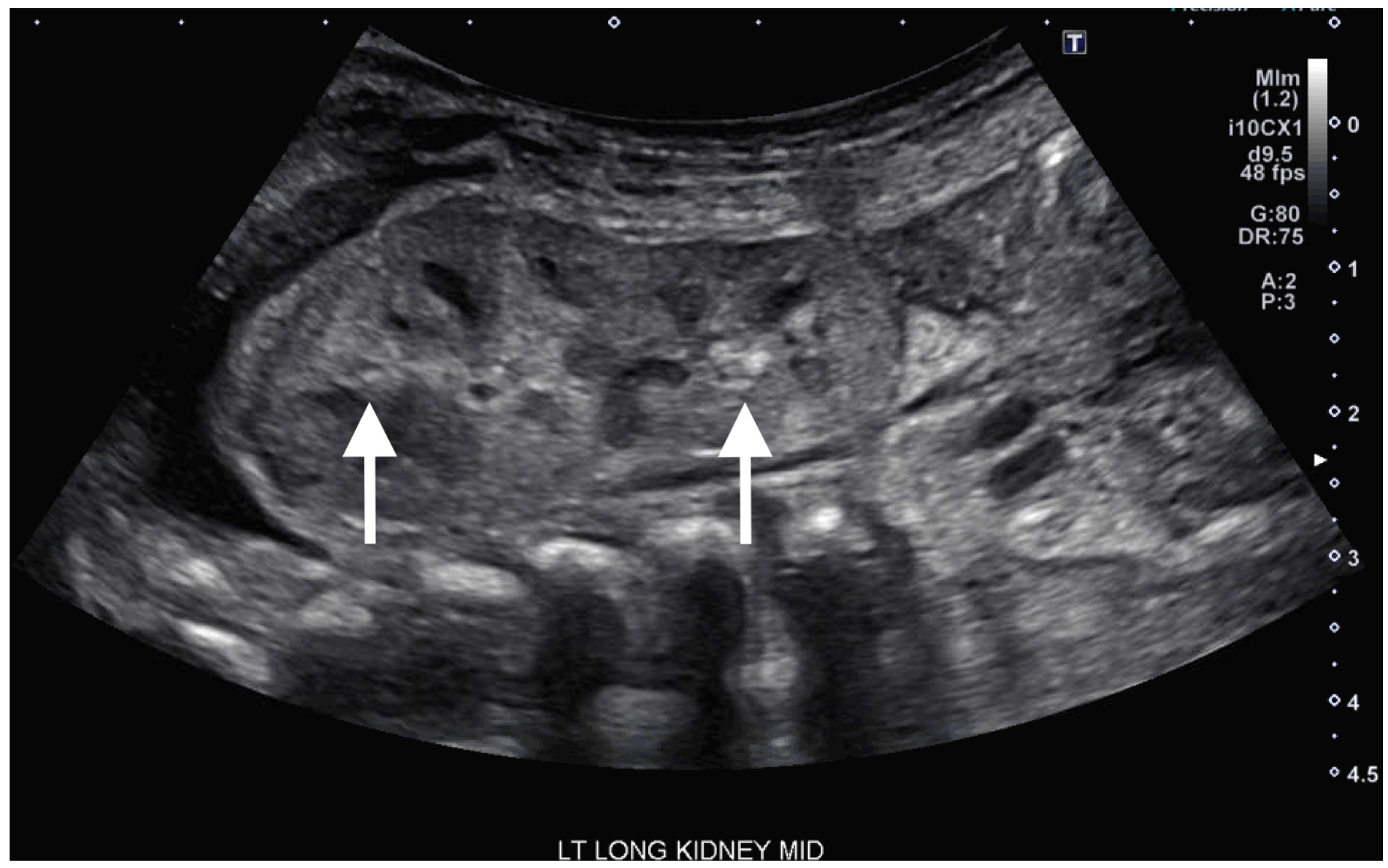 Children 12 01179 g002