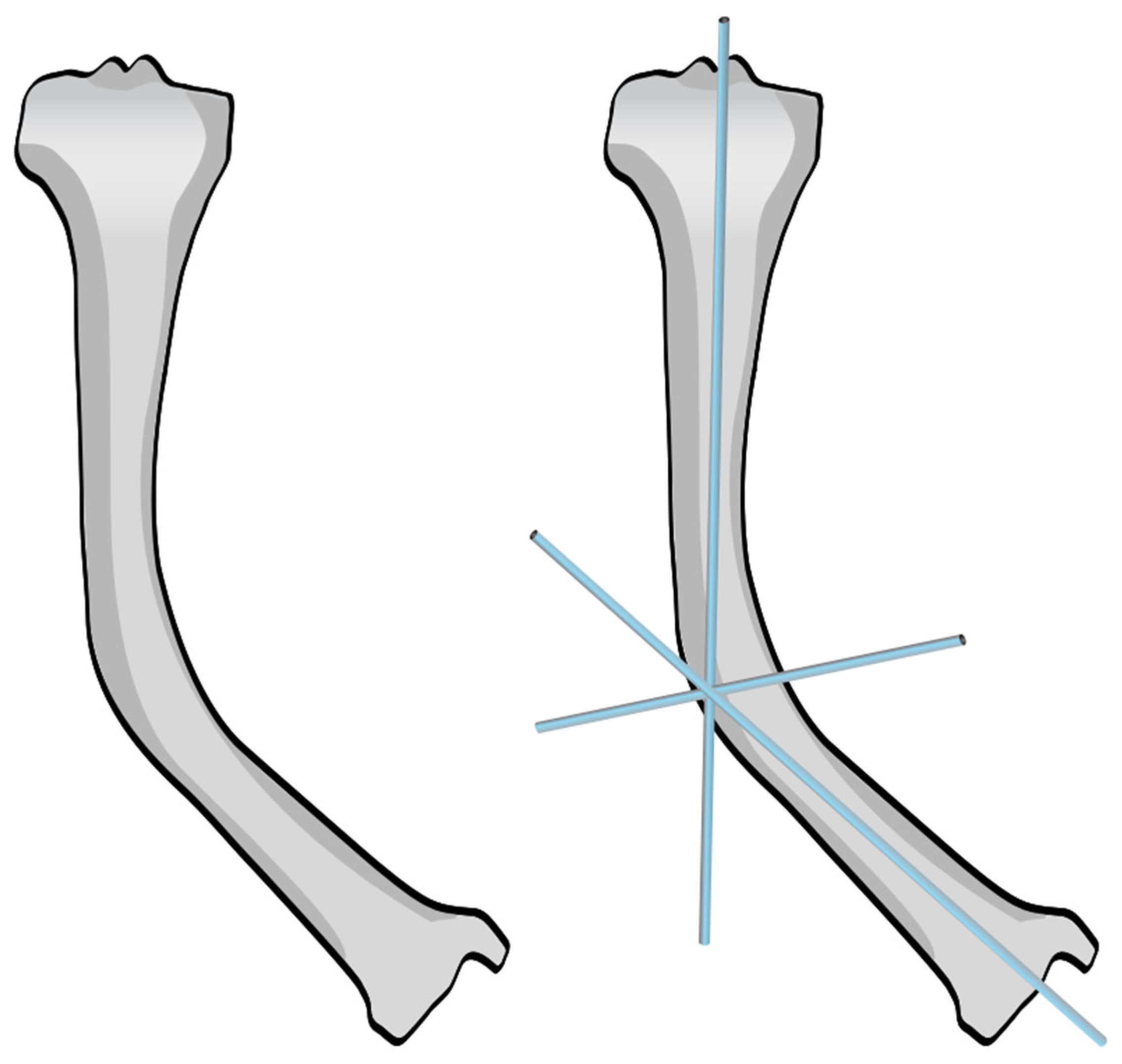 Children 12 01190 g003 Children 12 01190 g003