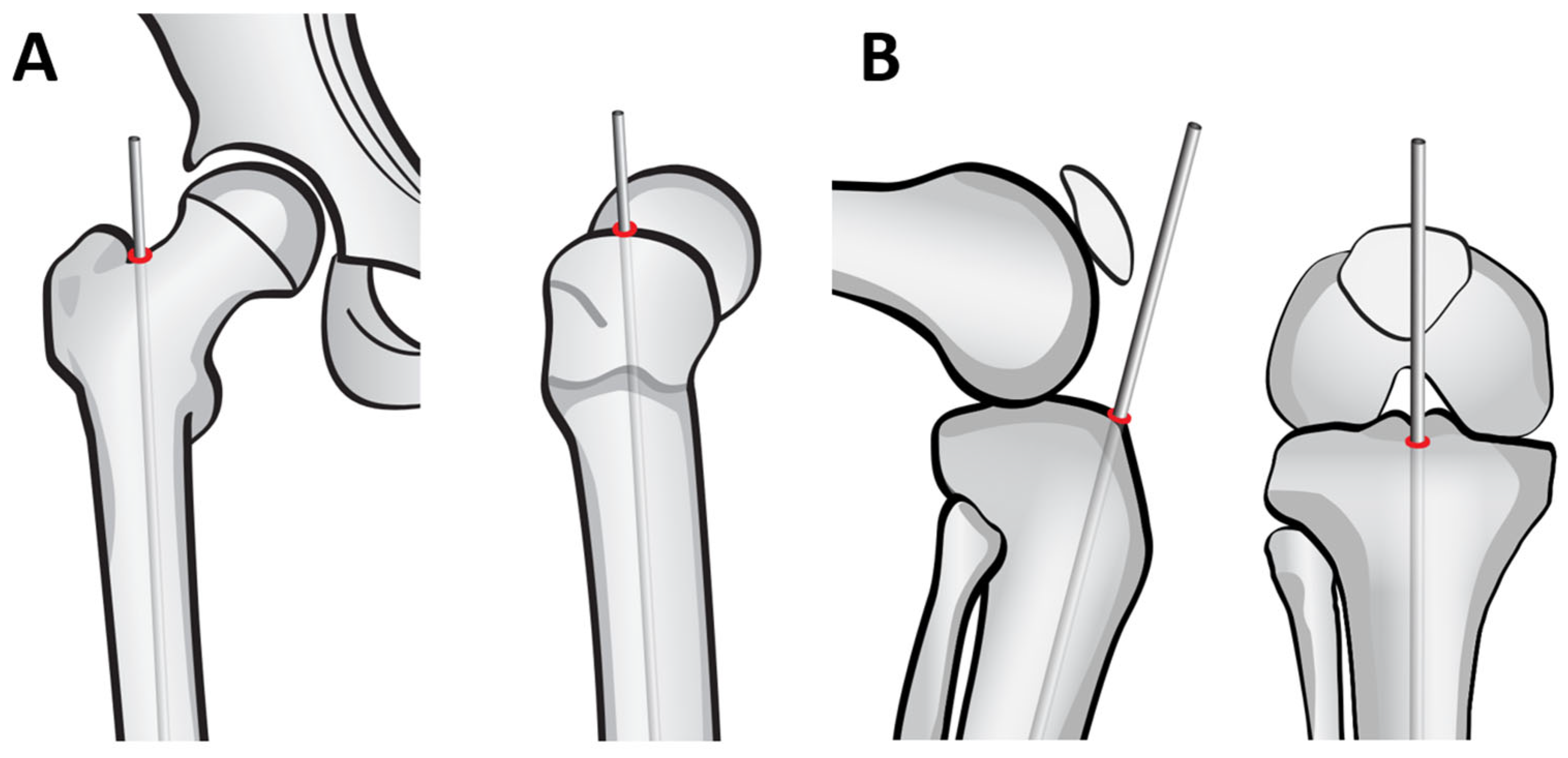 Children 12 01190 g005 Children 12 01190 g005