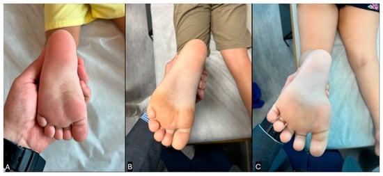 Children 12 01198 g001