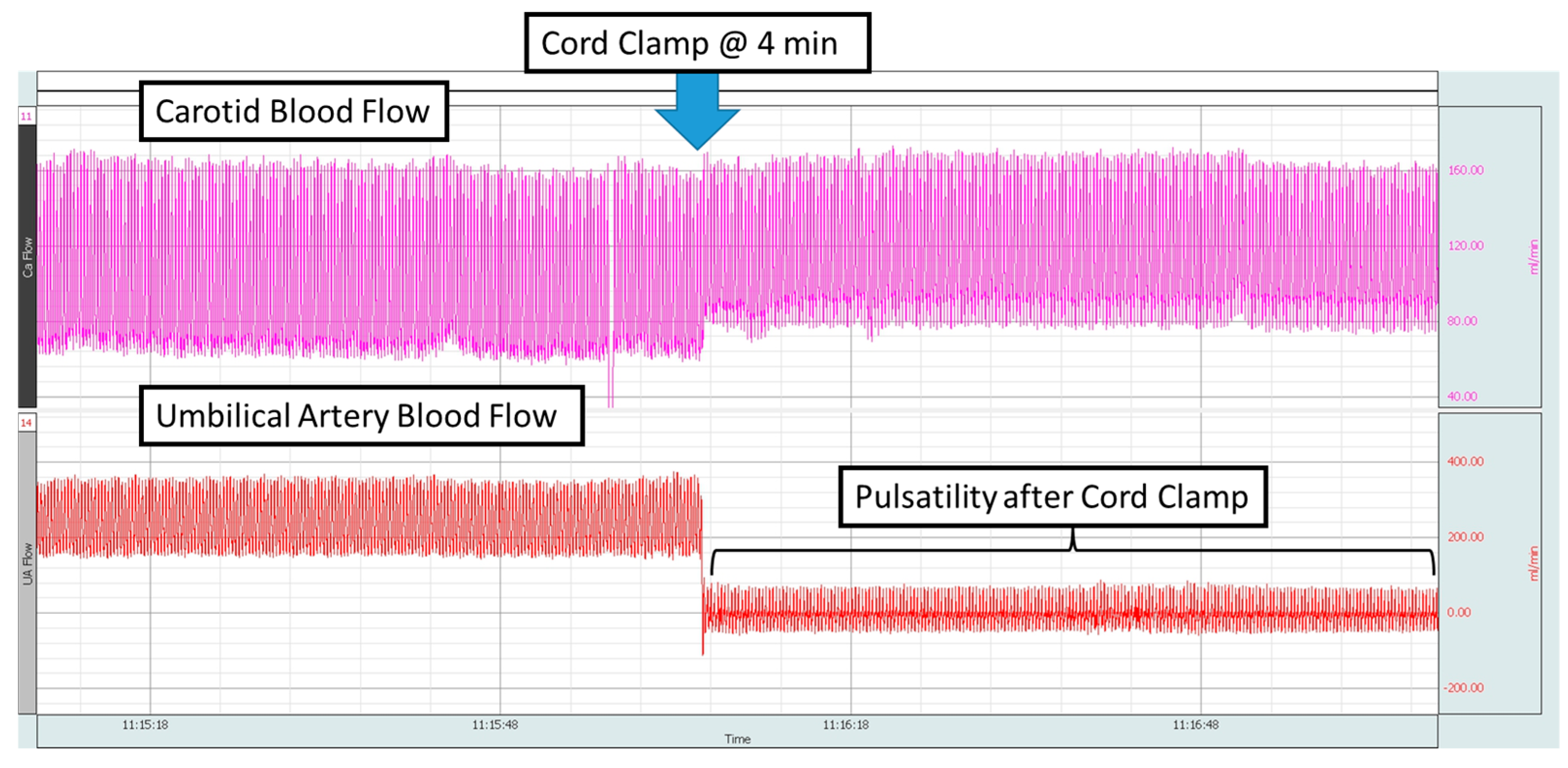 Children 12 01205 g001